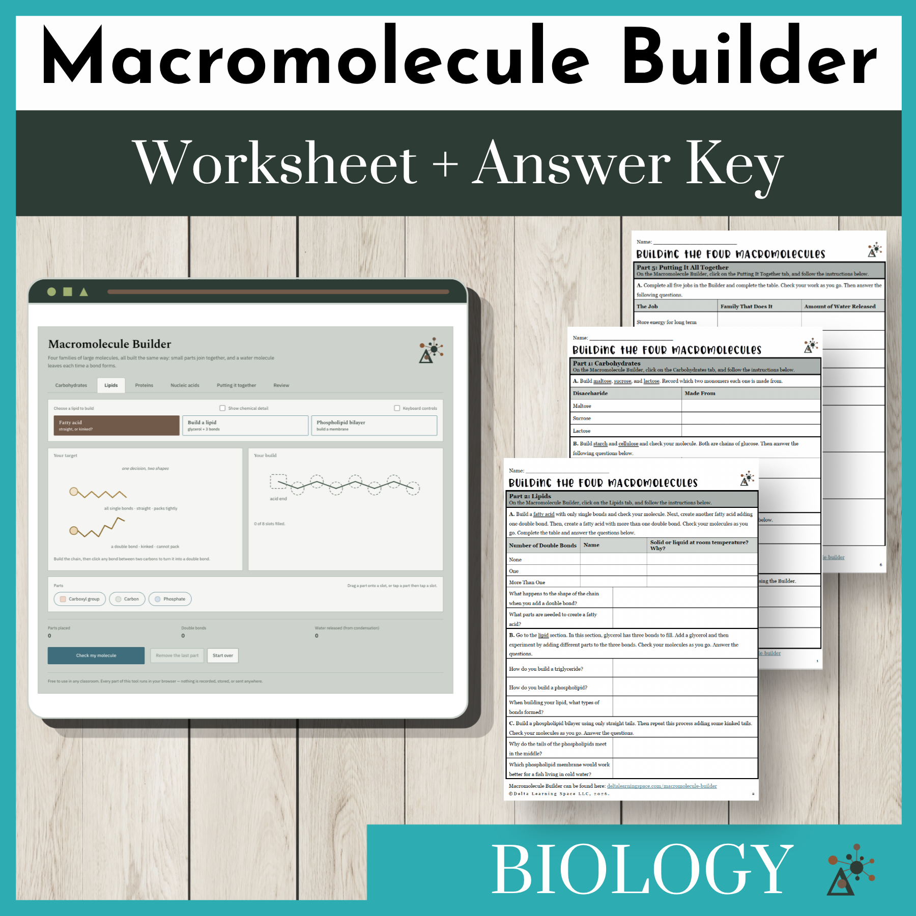 DLS-BIO-MacroBuilder-Worksheet.png
