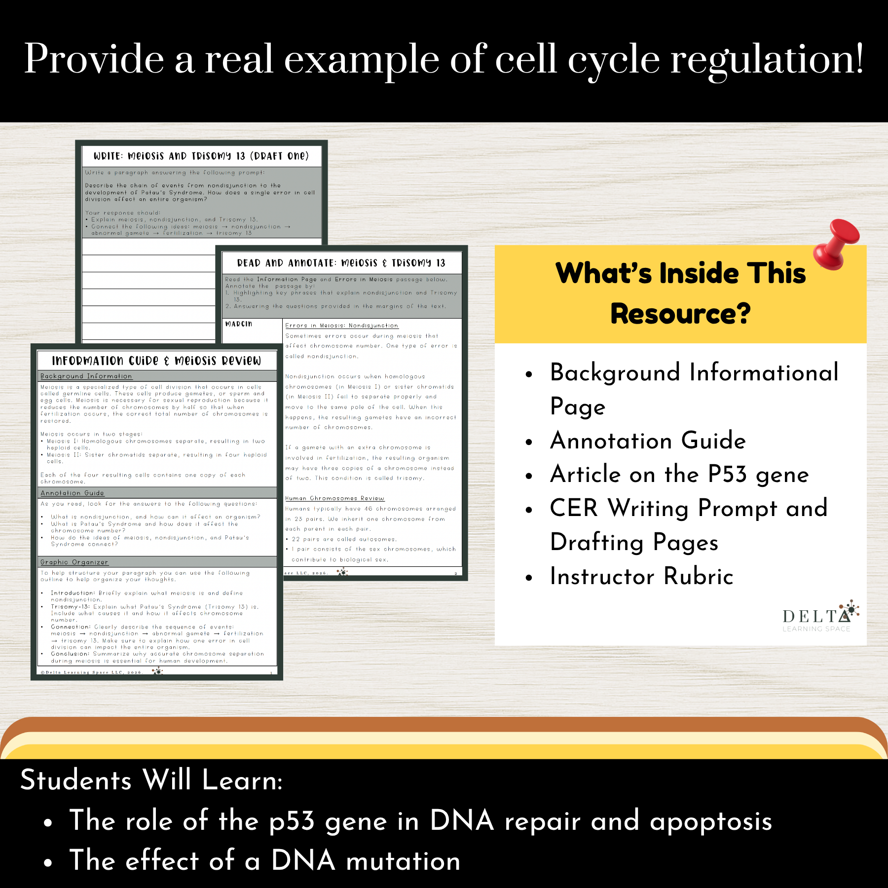 DLS-CC-P53-2.png