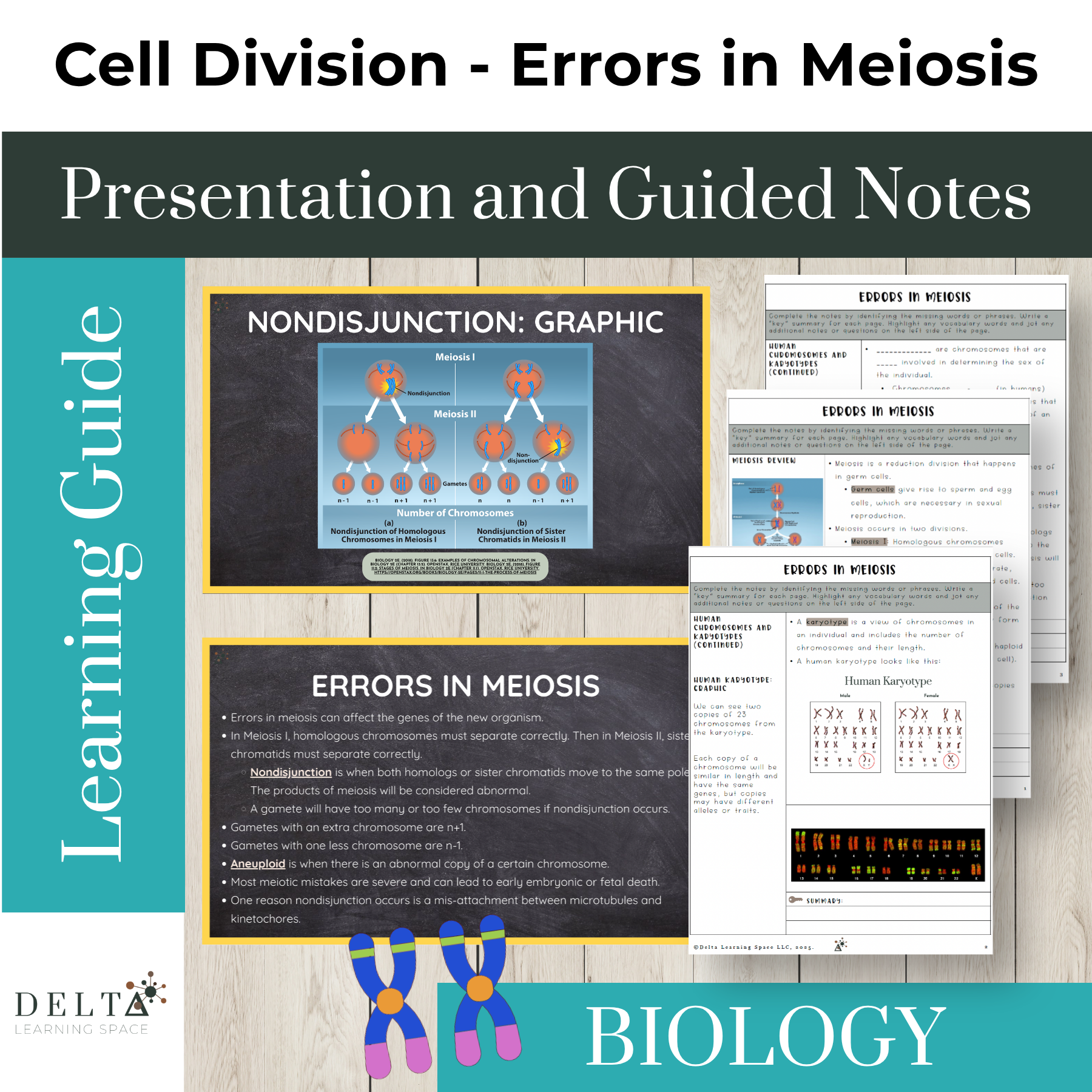 DLS-CC-ErrorsMeiosis-MC.png