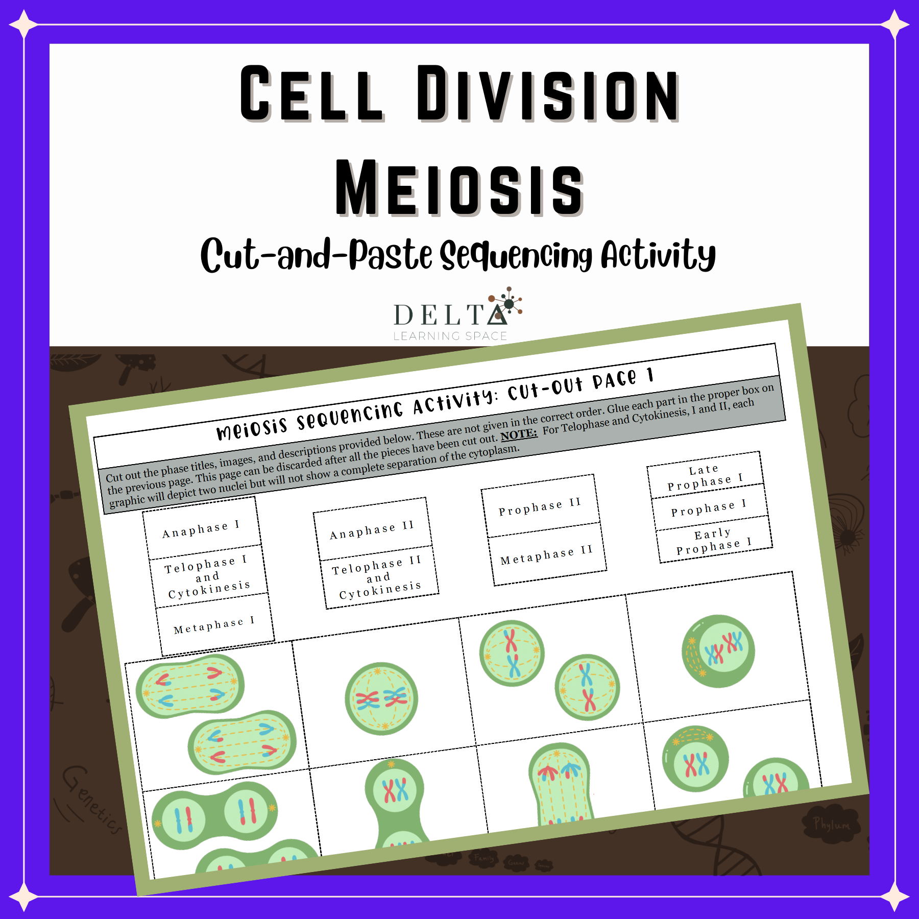 Cut and Paste Meiosis Sequencing Acivity