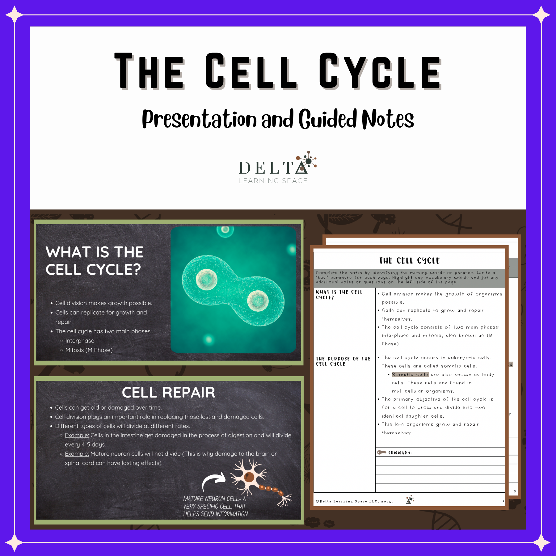 Cellular Division: Cell Cycle Guided Notes