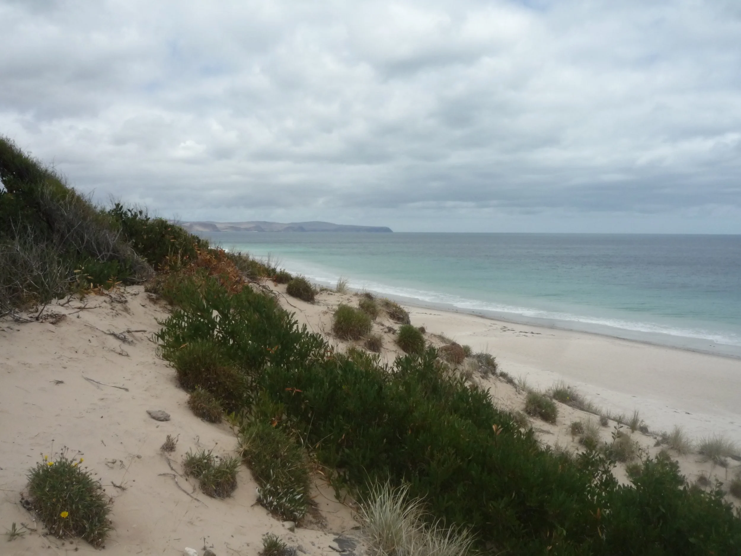 Feet on The Fleurieu | Explore Cultural Heritage — Biodiversity McLaren ...