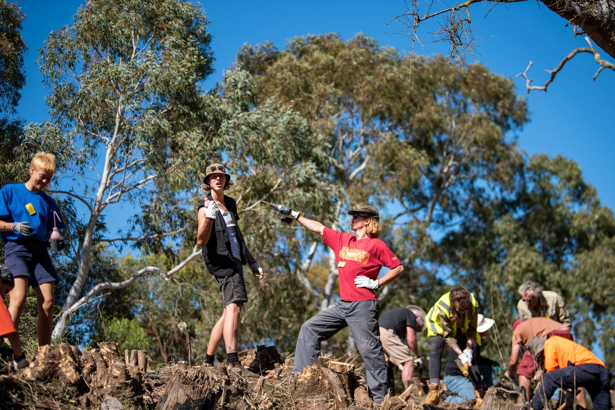 Group of people working outdoors, wearing casual clothes and gloves, engaged in a task among trees and logs under a clear blue sky.