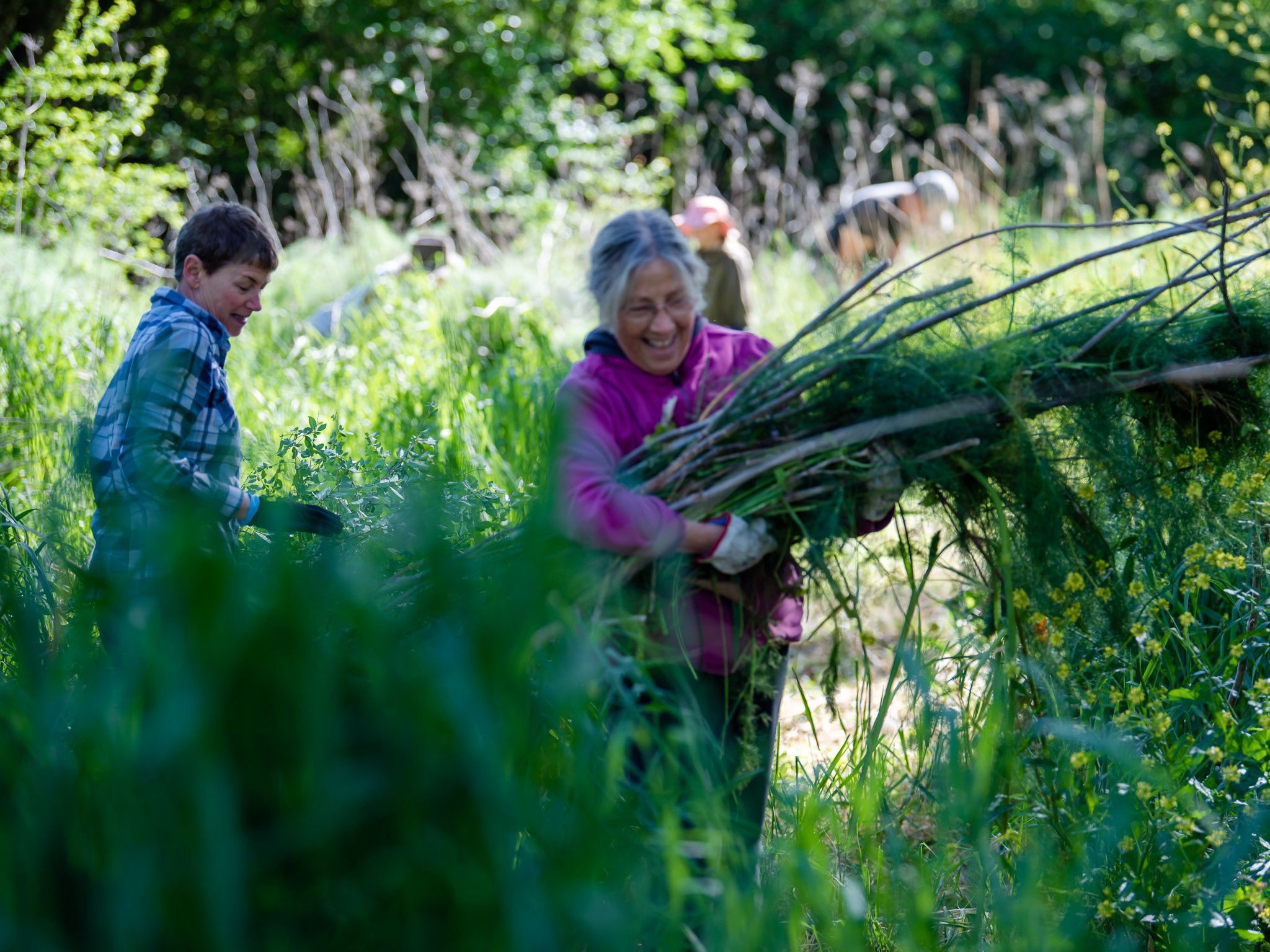 Two people gardening outdoors in a lush green area, smiling while carrying plants and foliage.