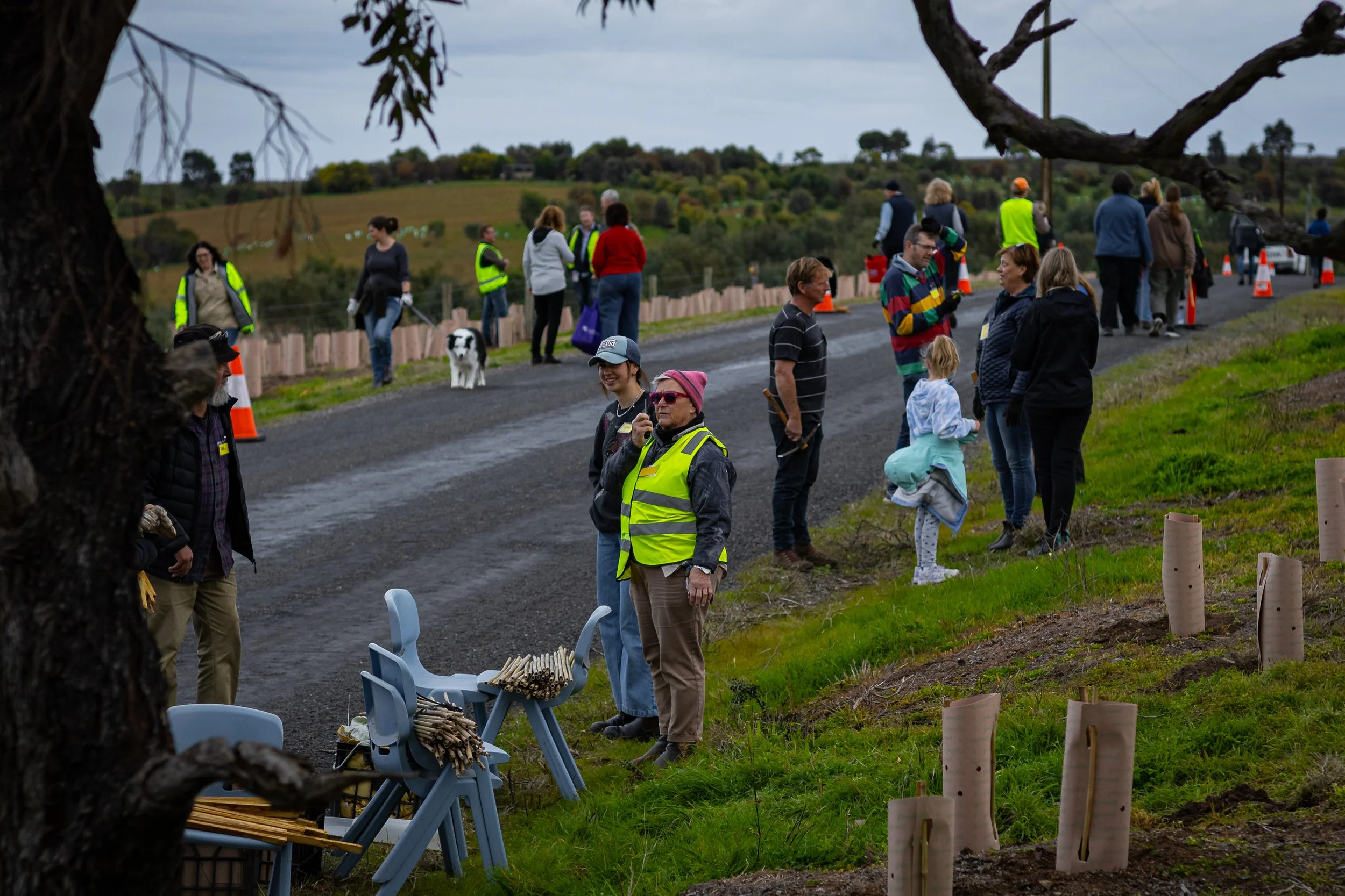 Group of people wearing reflective vests gathered on a rural roadside, some holding tools. There are tree guards placed in the ground nearby, suggesting a tree planting event. Two dogs are visible, and the landscape is hilly and lush.