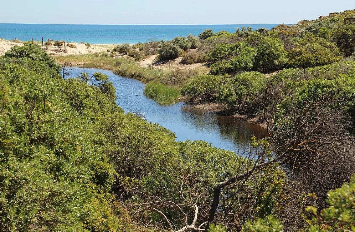 Coastal landscape with sandy dunes, green bushes, and a calm stream leading to the ocean.