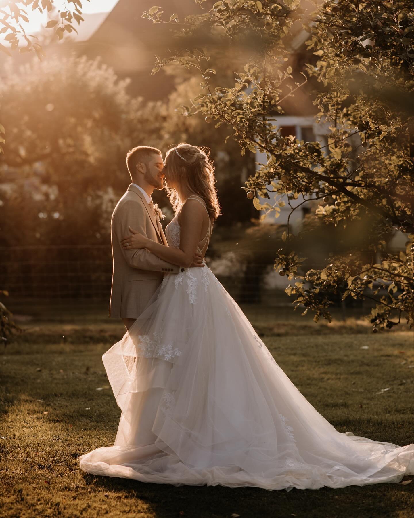 sneak peek from yesterday&lsquo;s wedding - @s_r_iii_a &amp; matthias! #goldenhour

location @dorfalm_mettendorf 
flowers&amp;decoration @blueten.art 

#wedding #weddingphotography #goldenhourphotography #simonaportmannfotografie #simonaportmann #swi