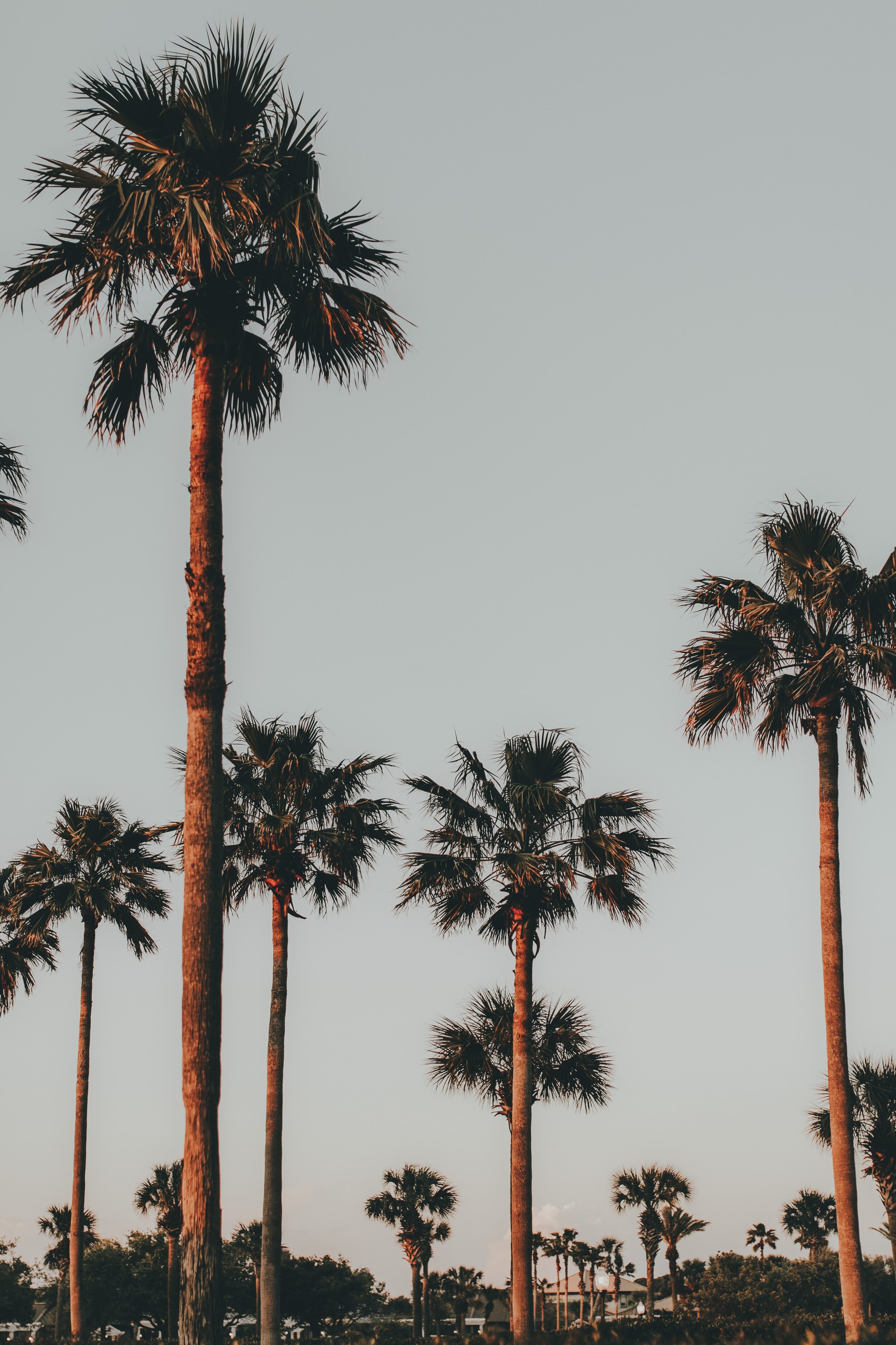 Request London: Spotting problems in celebrity management companies