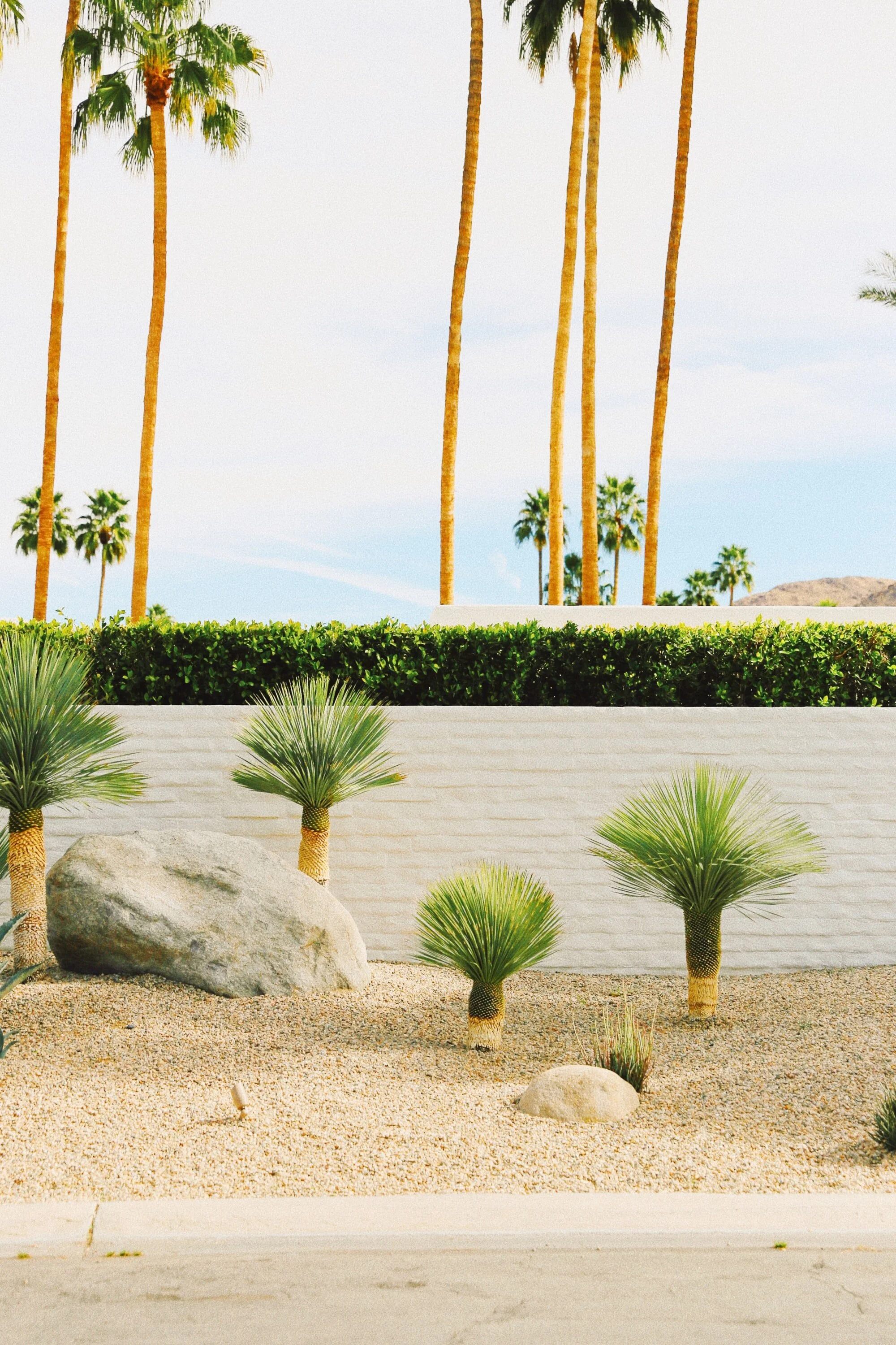 Reasons Why Celebrity Social Media Campaigns Work