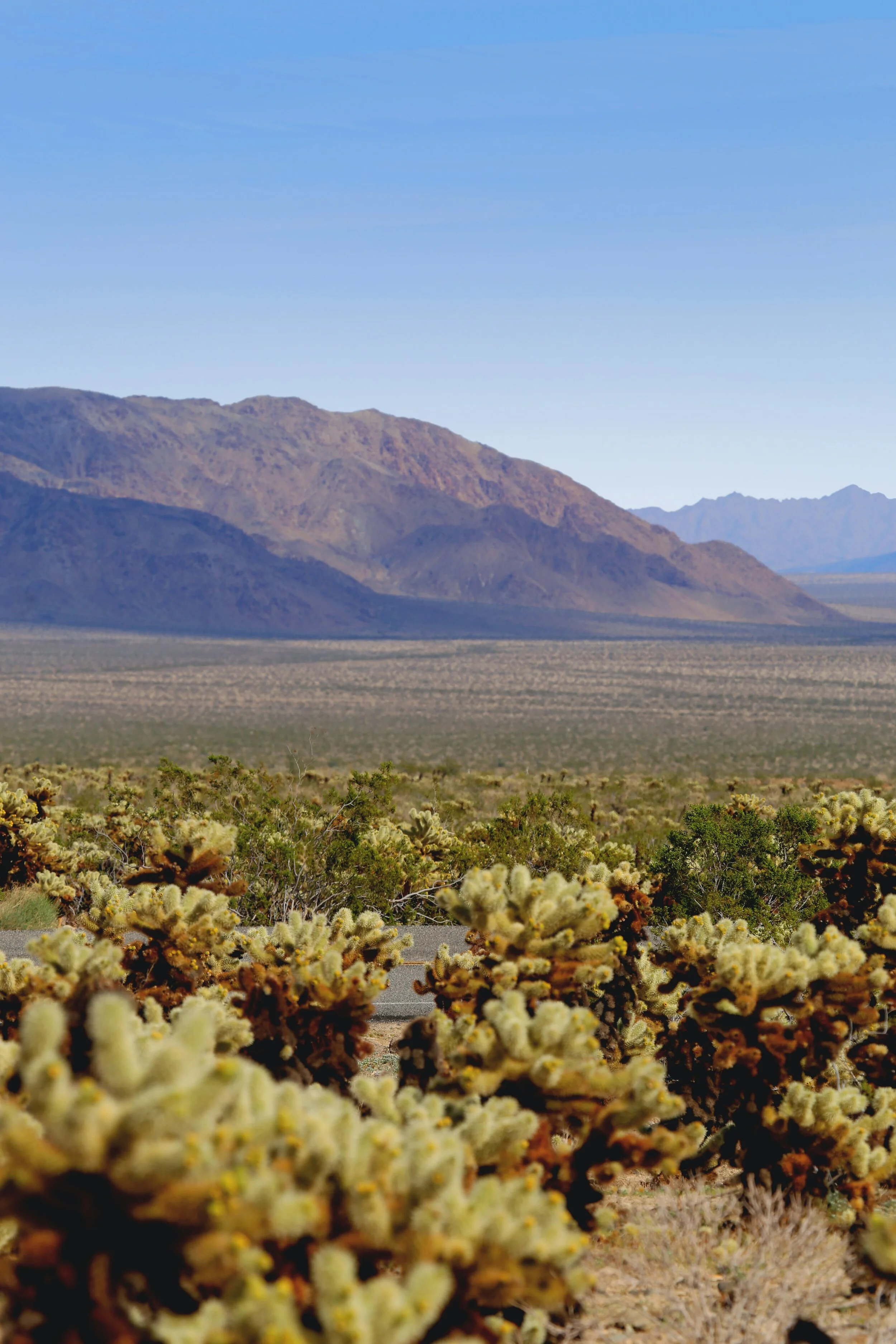 Do’s and don’ts: Influencer Instagram Growth tips