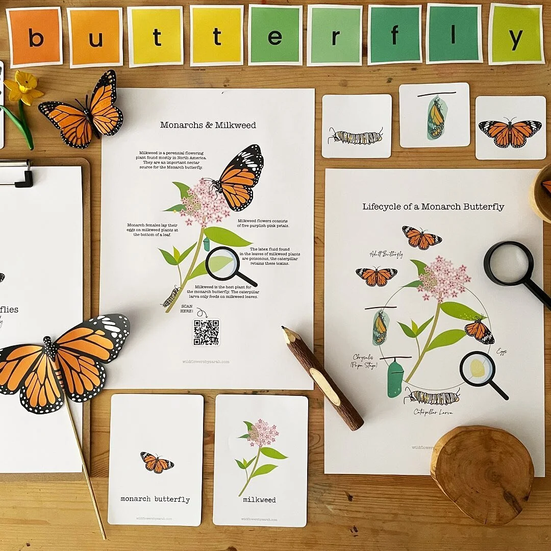 Product UPDATE✨Our Monarch Butterflies Nature Unit Study is available in the shop and is ON SALE!!! Save 40% off from now until the end of this month! And don&rsquo;t forget to download the FREE Nature Coloring Pages to go with it! Be sure to tag us 