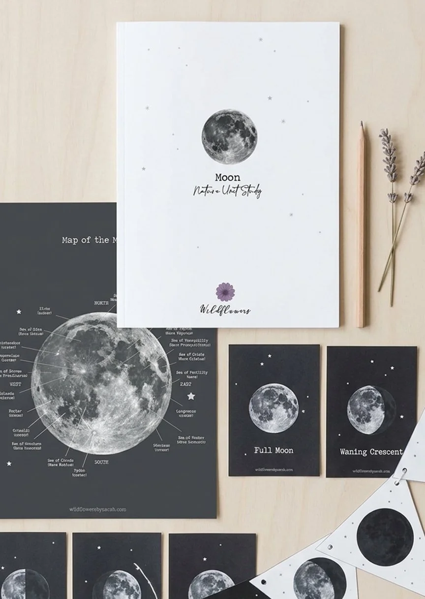 Moon flatlay.jpg