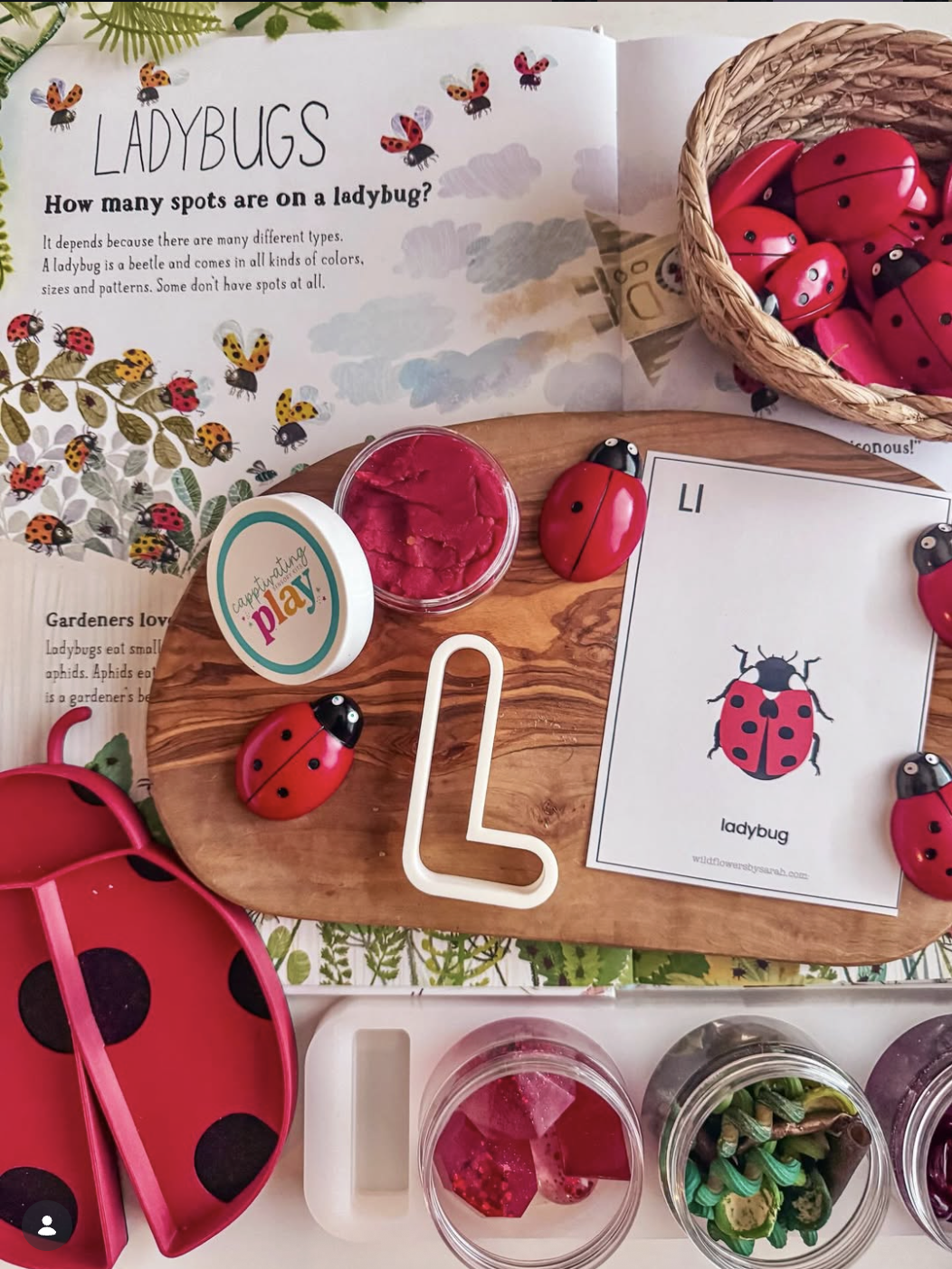 Ladybugs.png