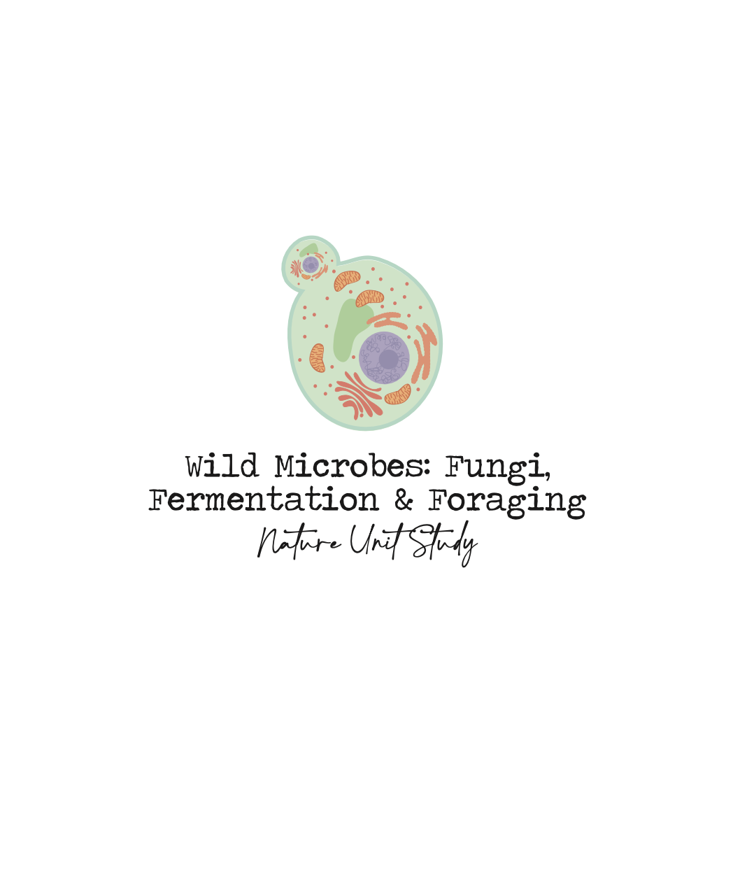 Wild Microbes: Fungi, Fermentation & Foraging