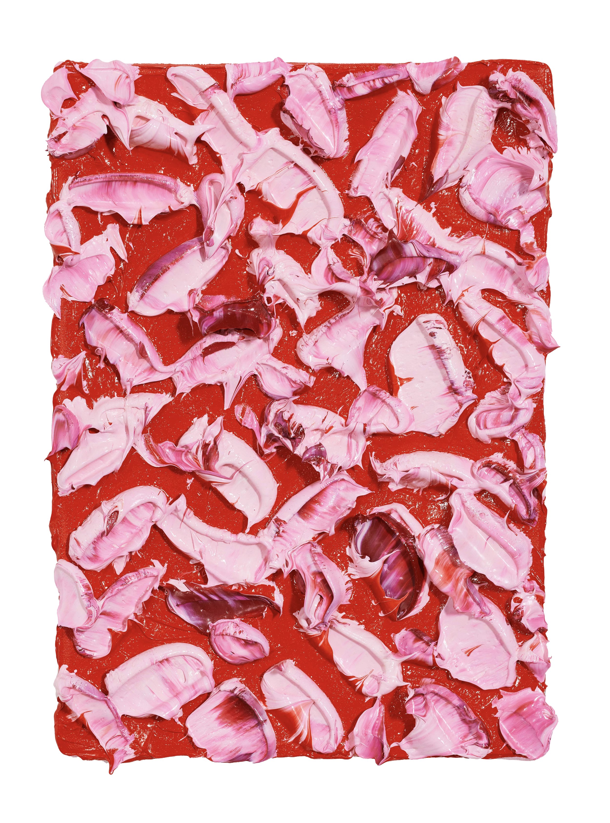 Onomatopoeia VI - Oil on Canvas - 2025 - 30 x 21 x 3cm - R9000