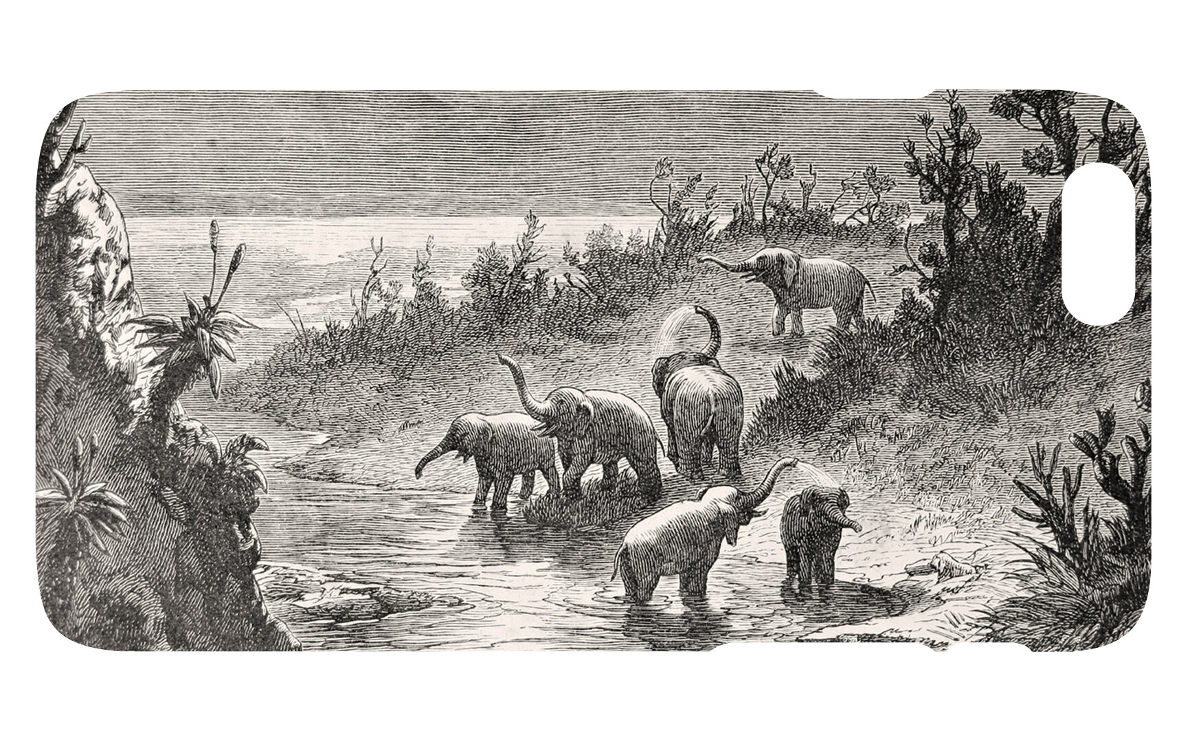 iPhone6 Elephants.jpg