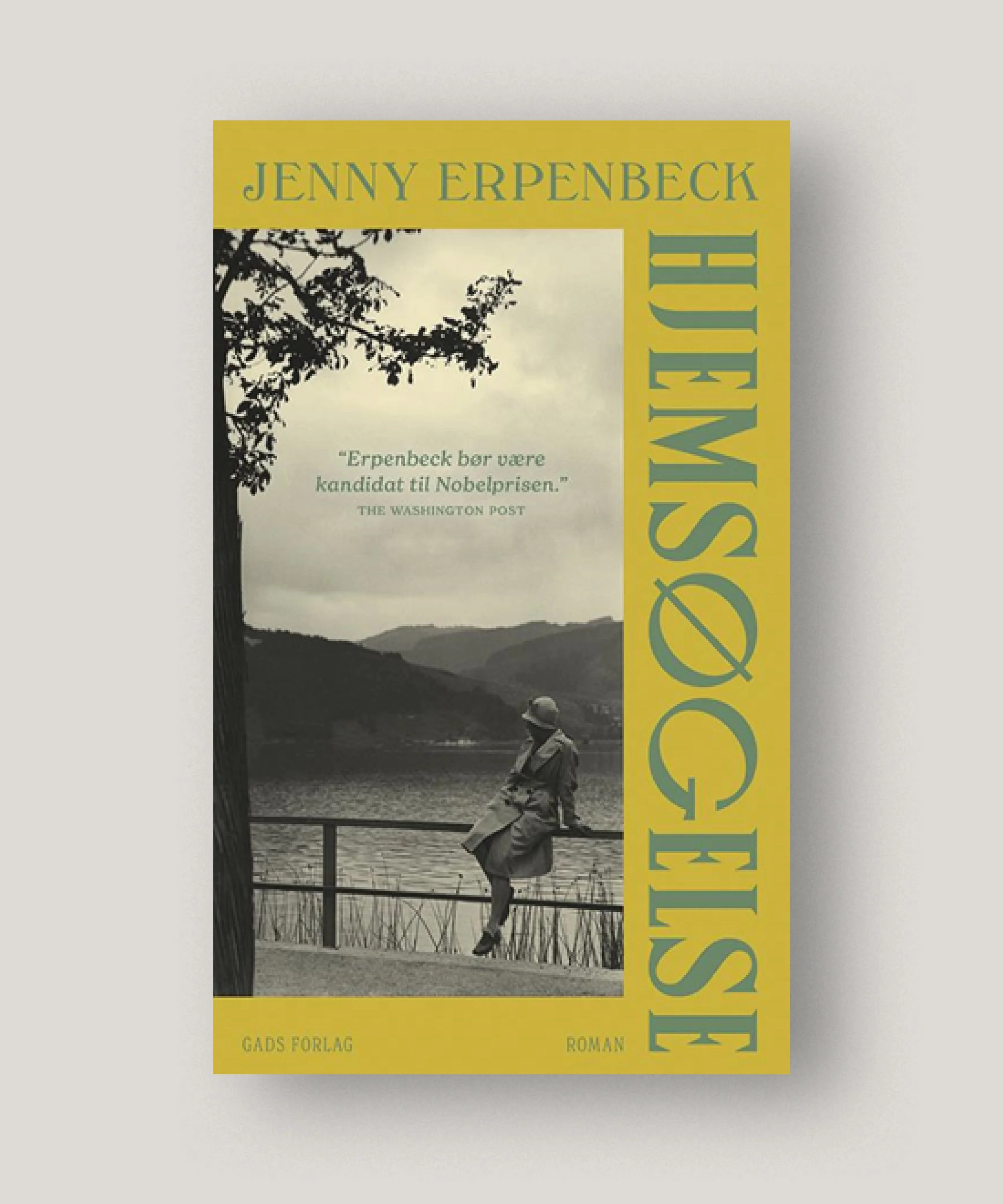 #Hjemsøgelse #Jennyerpenbeck #tranquebar.jpg
