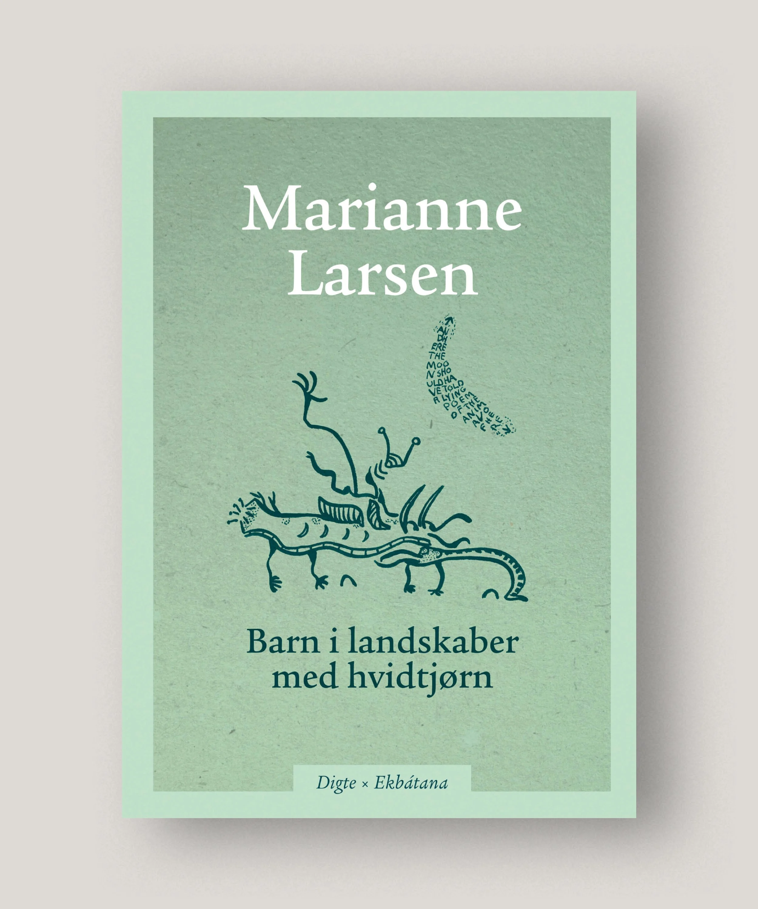 #barnilandskabermedhvidtjoern #mariannelarsen #tranquebar.jpg