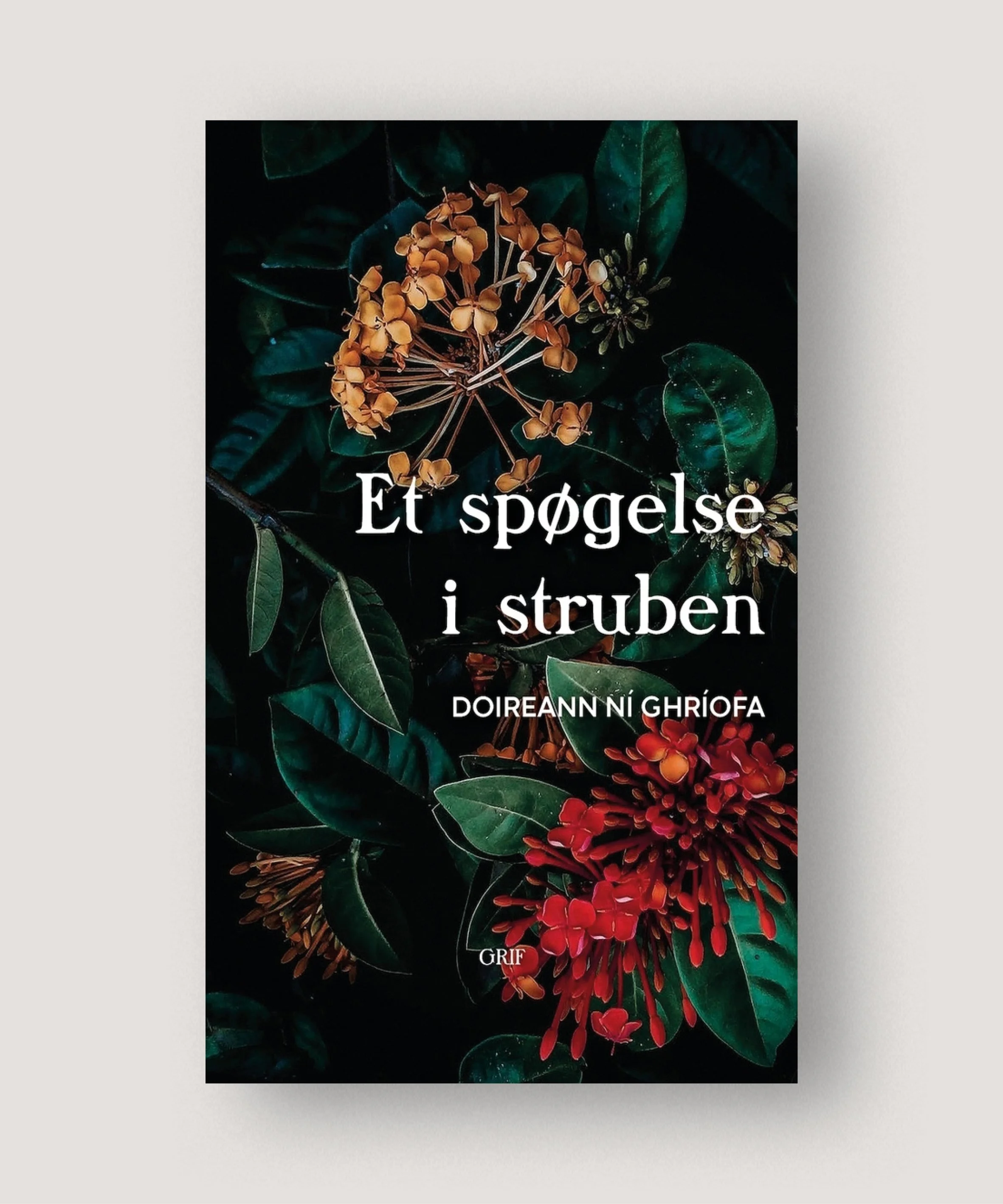 #etspøgelseistruben#doireannnighriofa#tranquebar.jpg