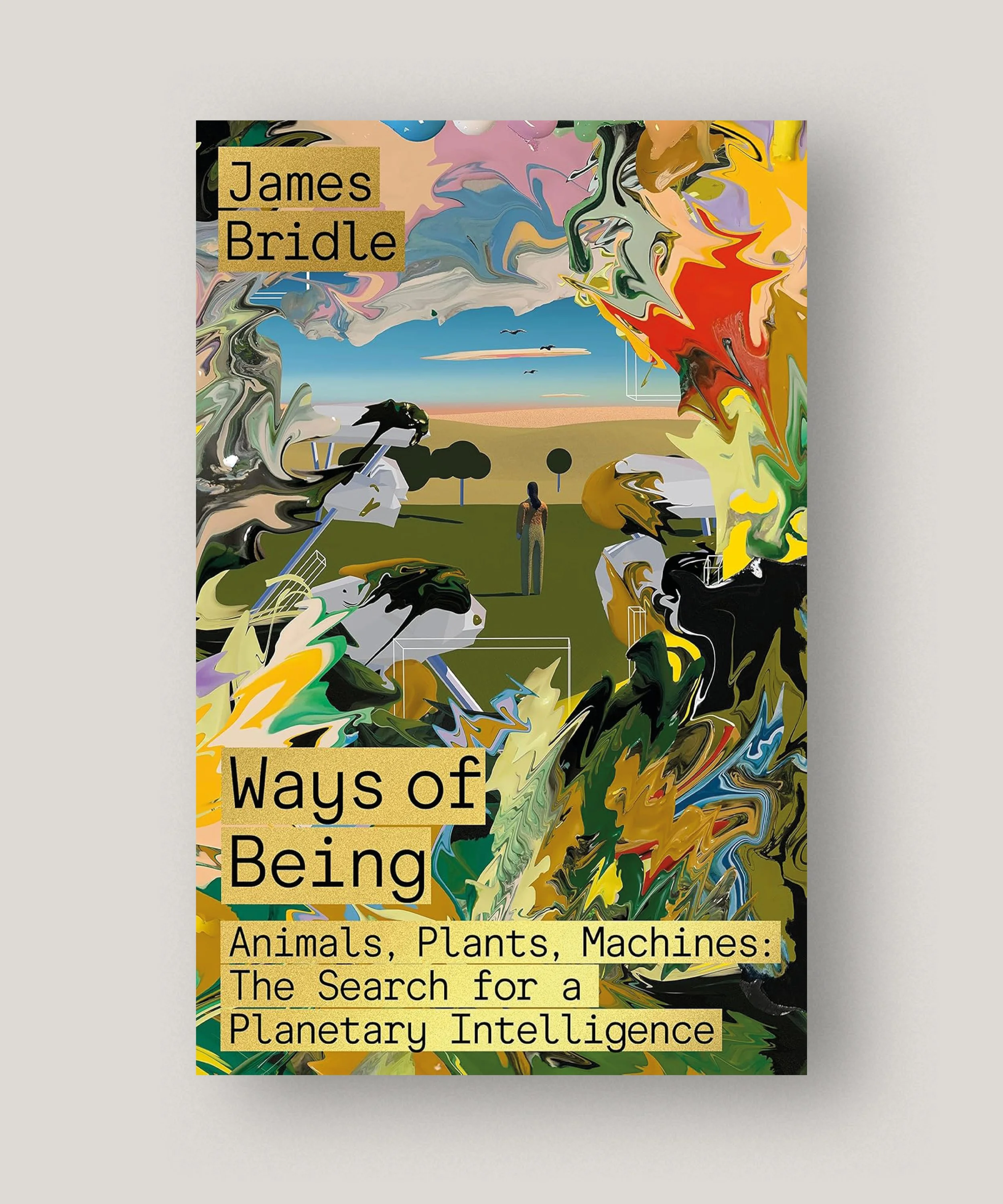 #waysofbeing #jamesbridle #tranquebar.jpg
