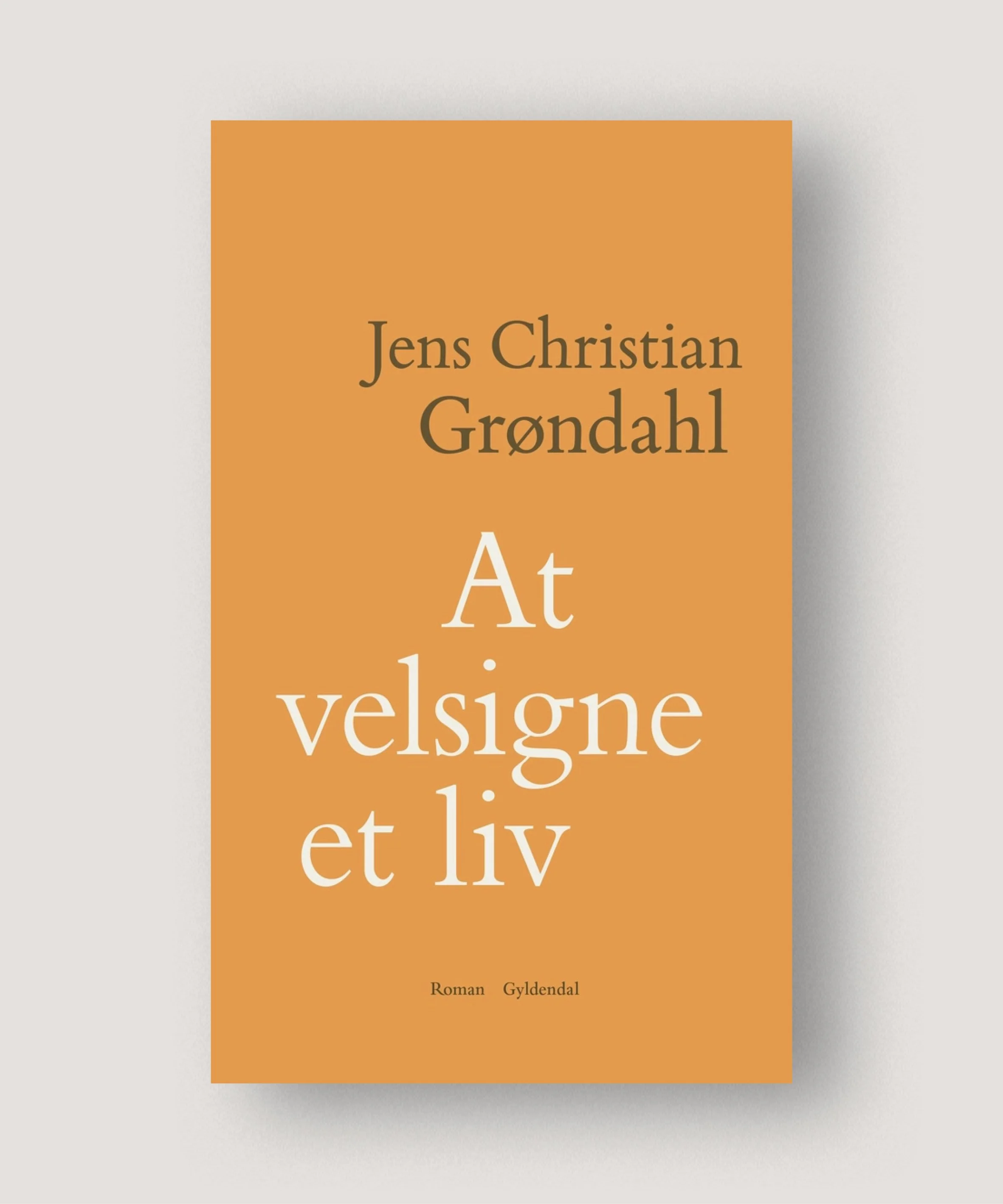 #atvelsigneetliv#jenschristiangrøndahl#tranquebar.jpg