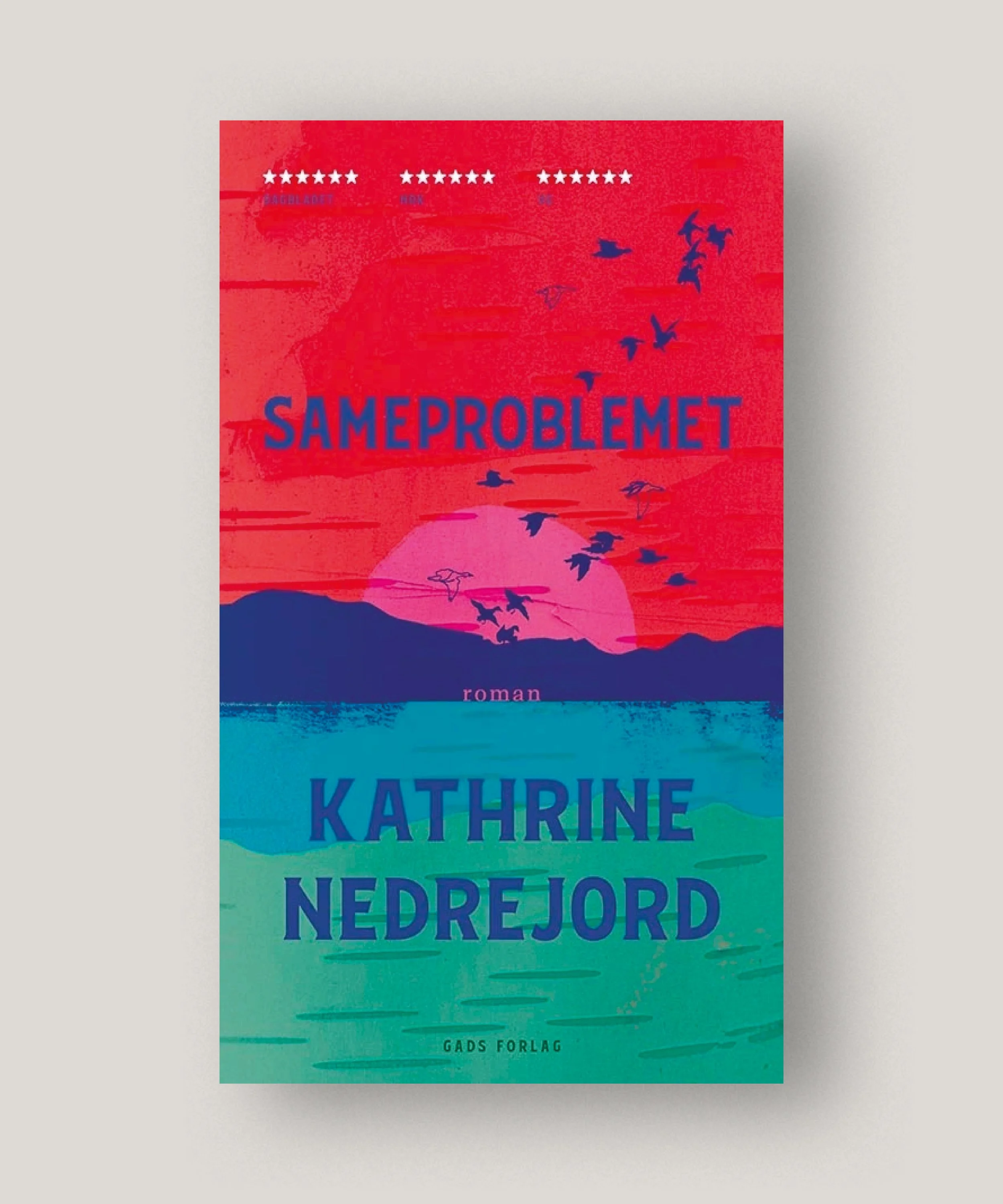 Sameproblemet – Kathrine Nedrefjord