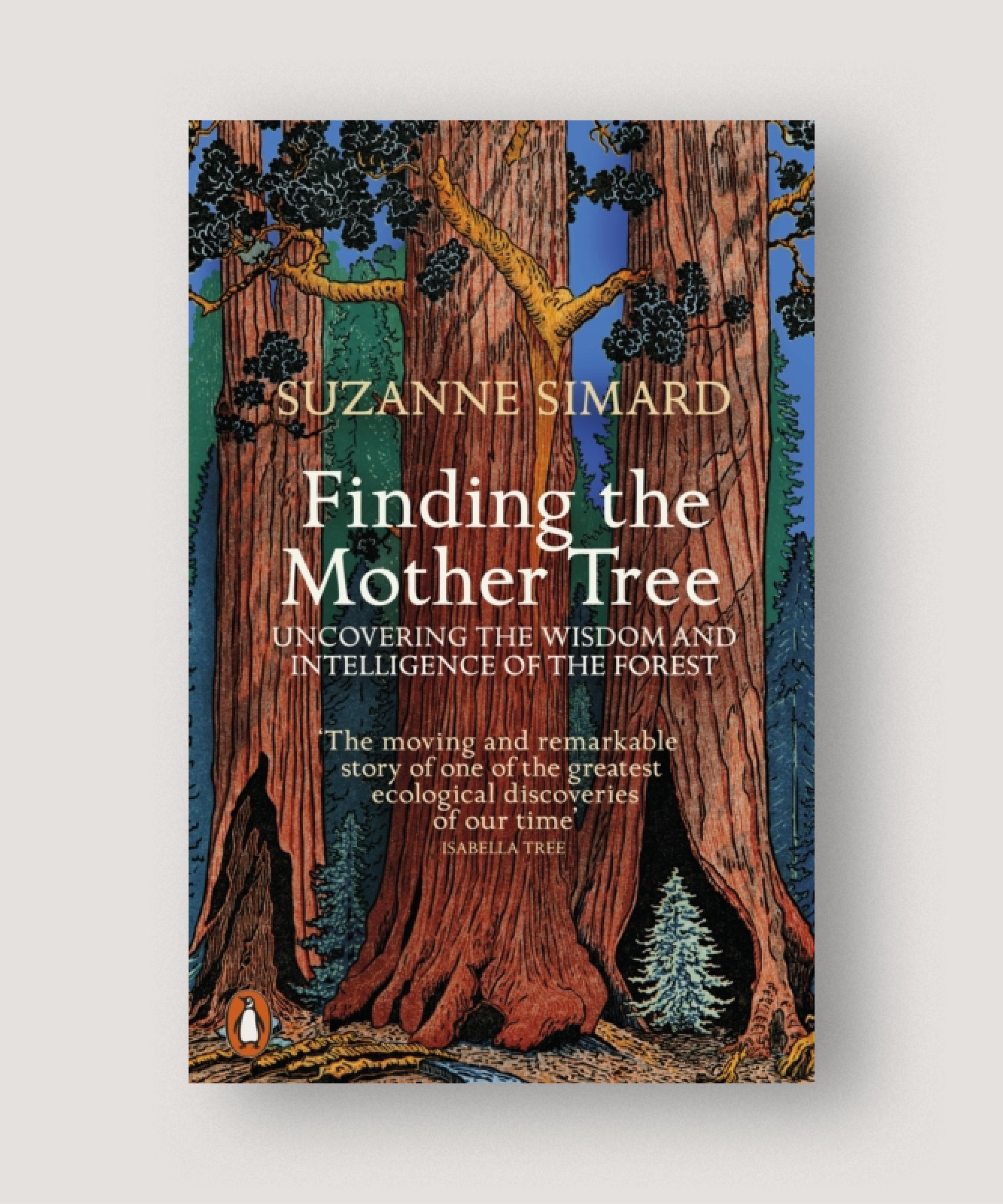 Finding the mother tree – Suzanne Simard