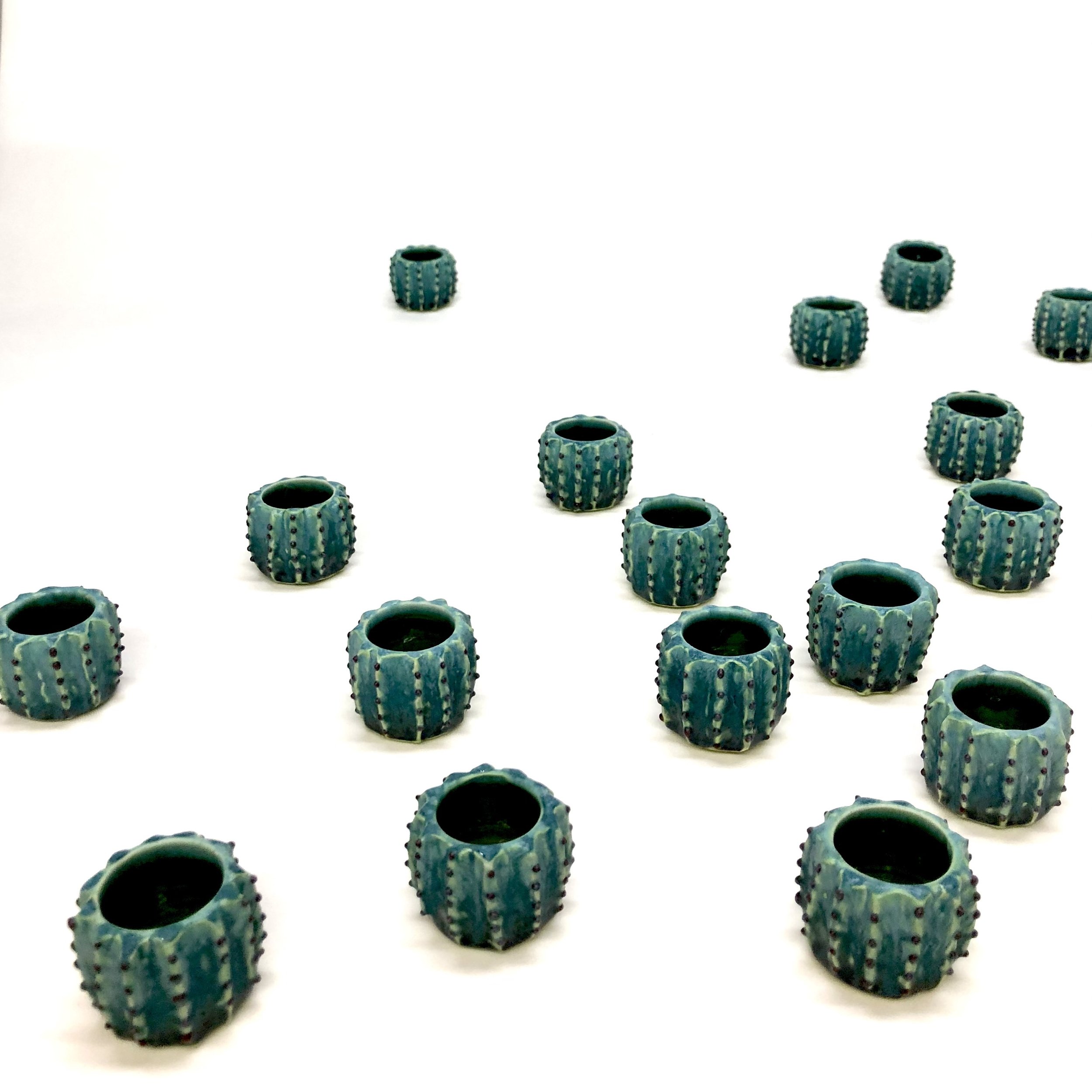 C7C11154-9B06-48F8-9C3D-55A9B93548E5_1_201_a.jpeg