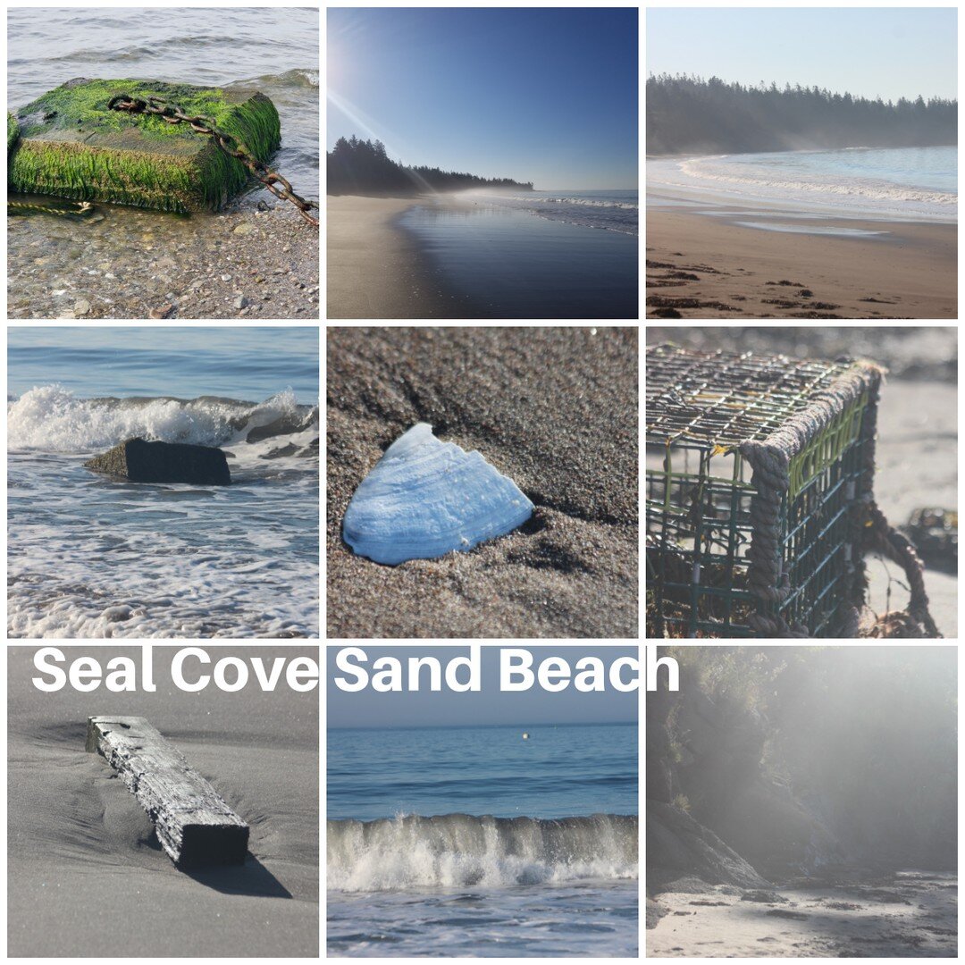 Seal Cove Sand Beach - come and experience this special location on #GrandMananIsland - charming at both low and high tide, and overlooking historic Seal Cove...and for the larks among us - a must visit on a steamy July morning....

#visitbeautifulgr