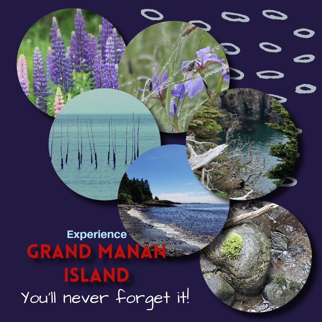 Experience #GrandMananIsland! You'll never forget it!

#grandmananadventure #newbrunswick #tourismnewbrunswick #fundystartshere