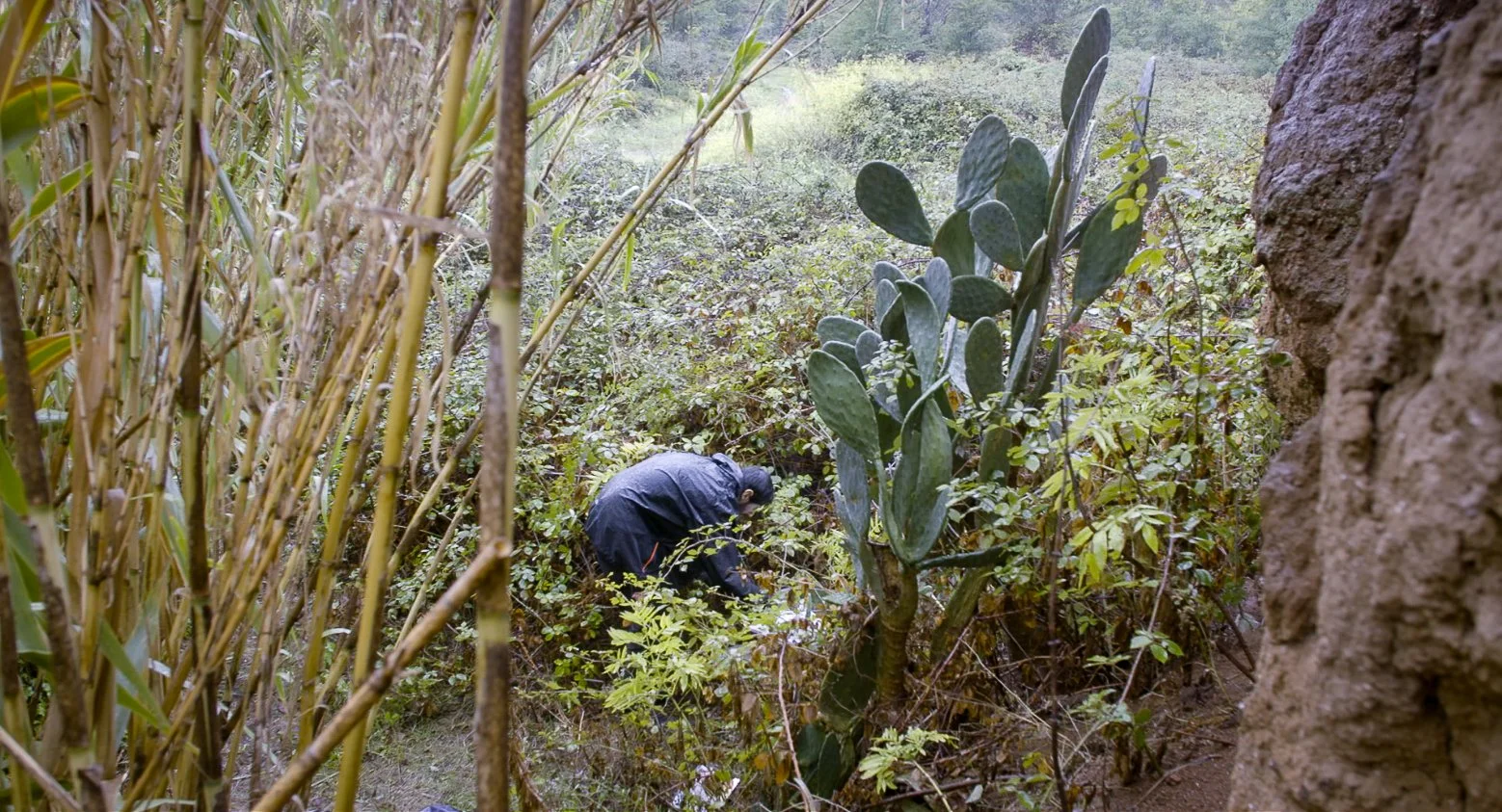 Screen Shot 2020-09-28 at 8.01.24 PM_toned.jpg