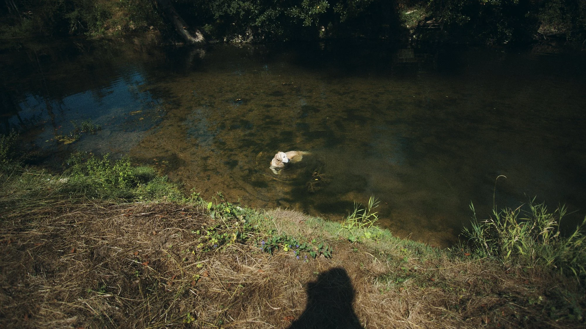 _DSF3439.jpg
