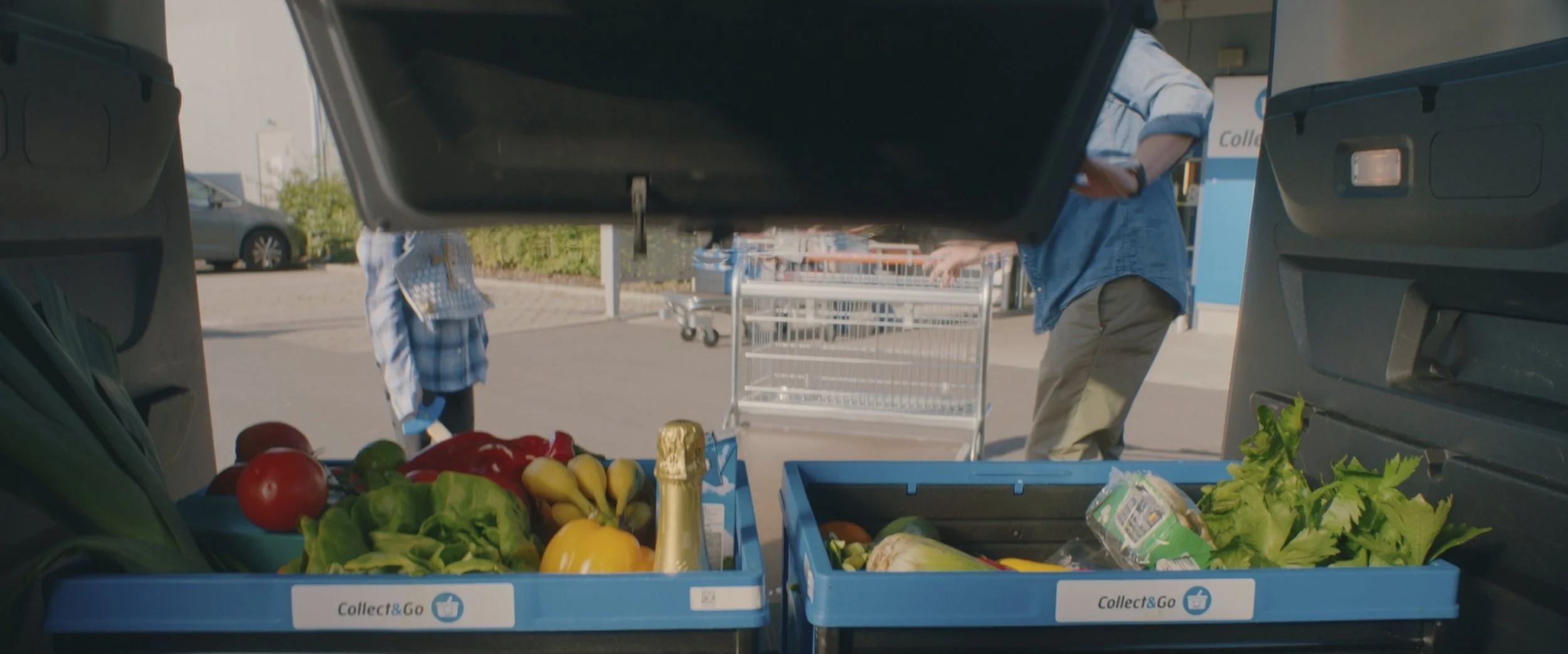 Still 2026-02-25 115245_1.113.1.jpg