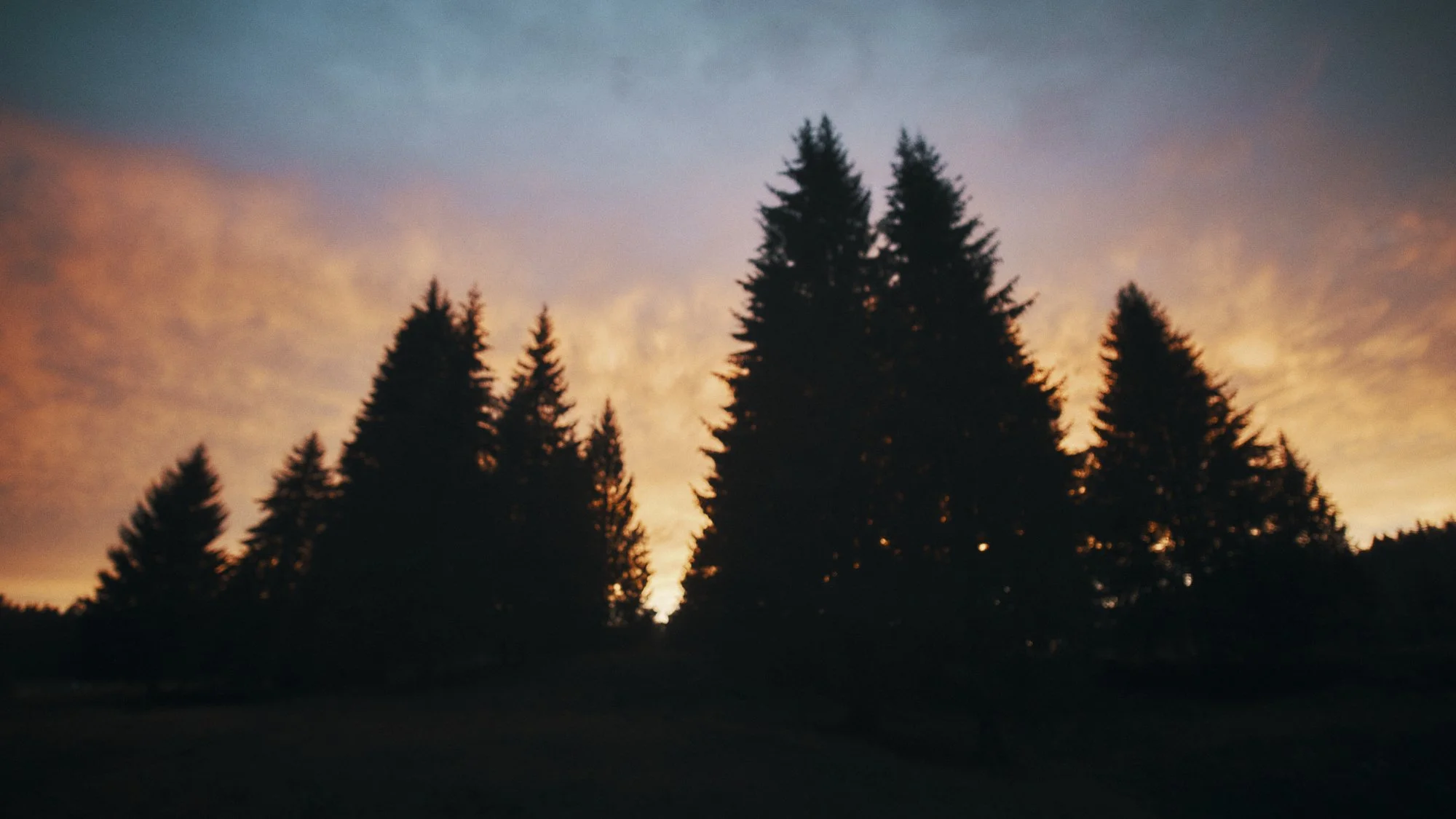 _DSF4434.jpg
