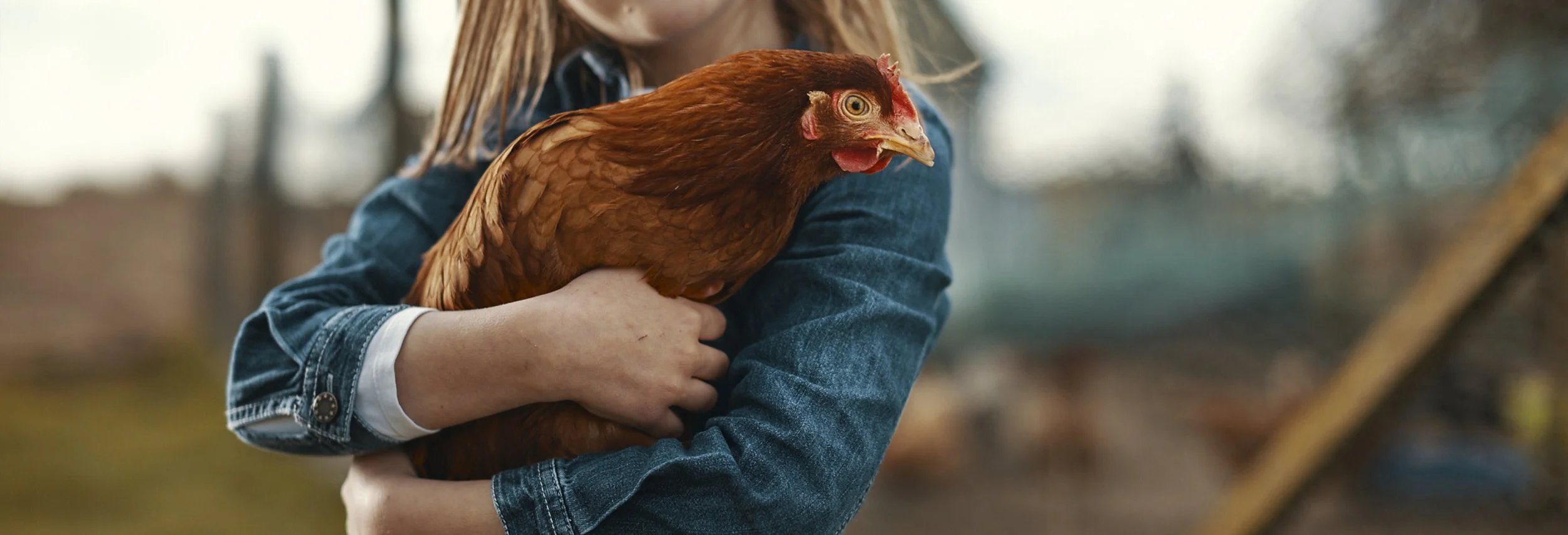 VERSELE LAGA0117 3.jpg