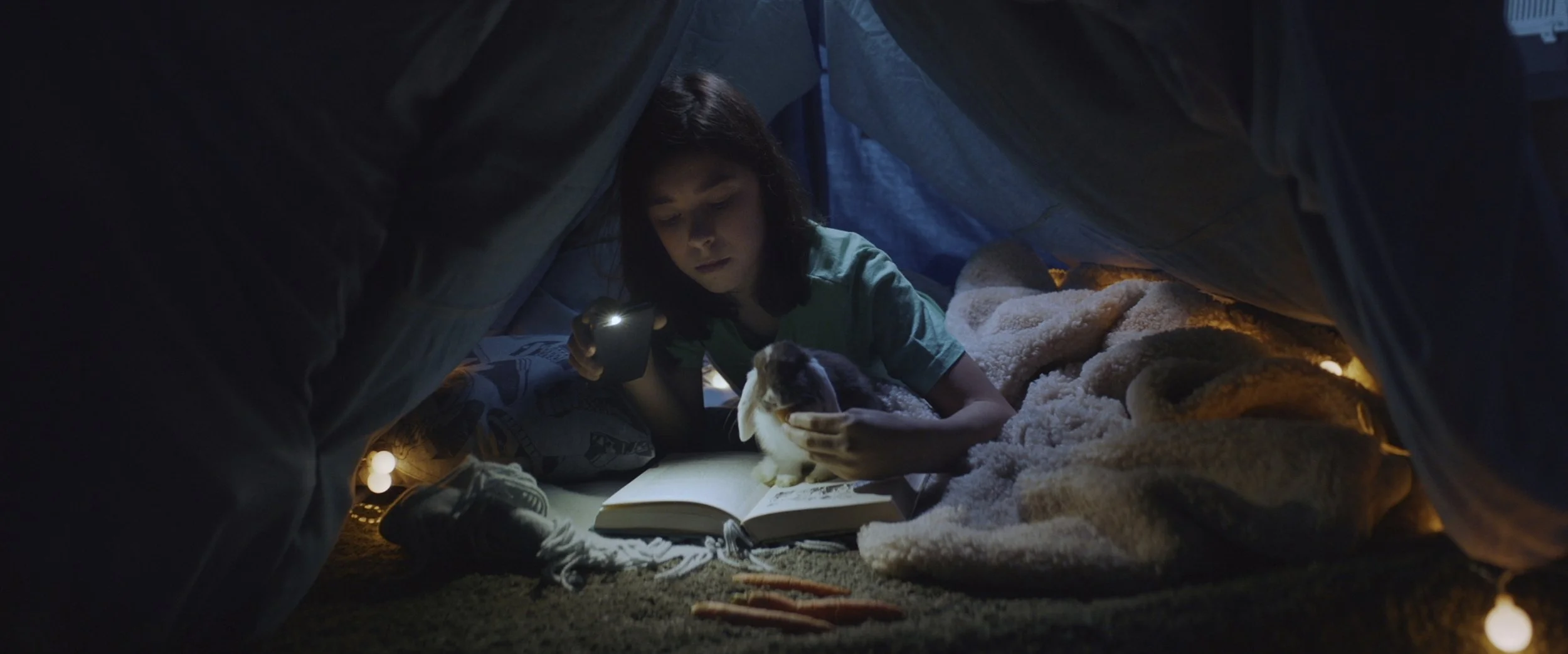 Still 2026-02-25 115245_1.53.1.jpg