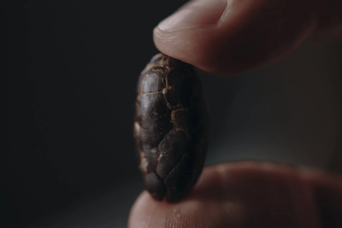 CALLEBAUT_FLAVOURCODE1373 1.jpg