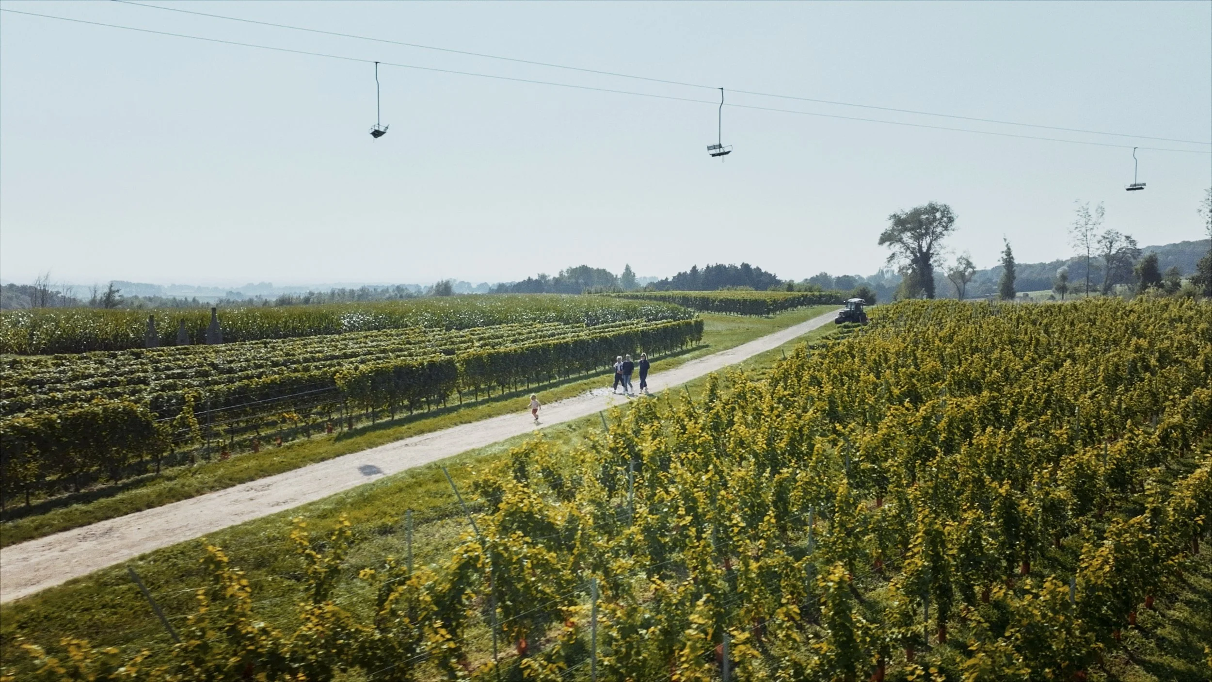 Still 2026-02-24 120856_1.10.1.jpg