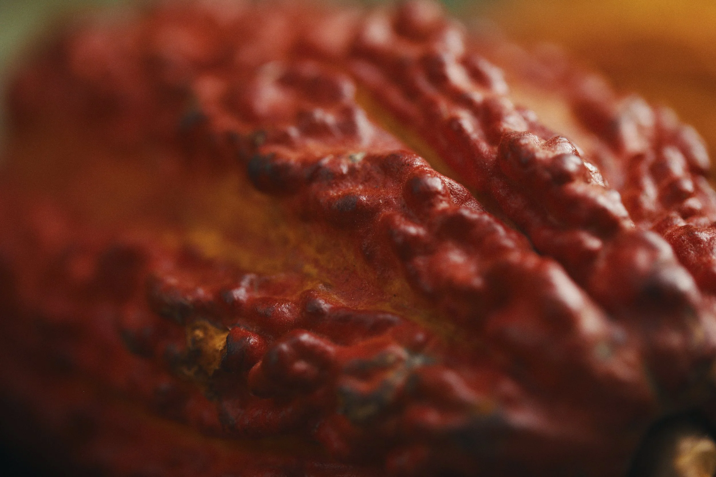 BERLIN_ECUADOR_DD1_829.jpg