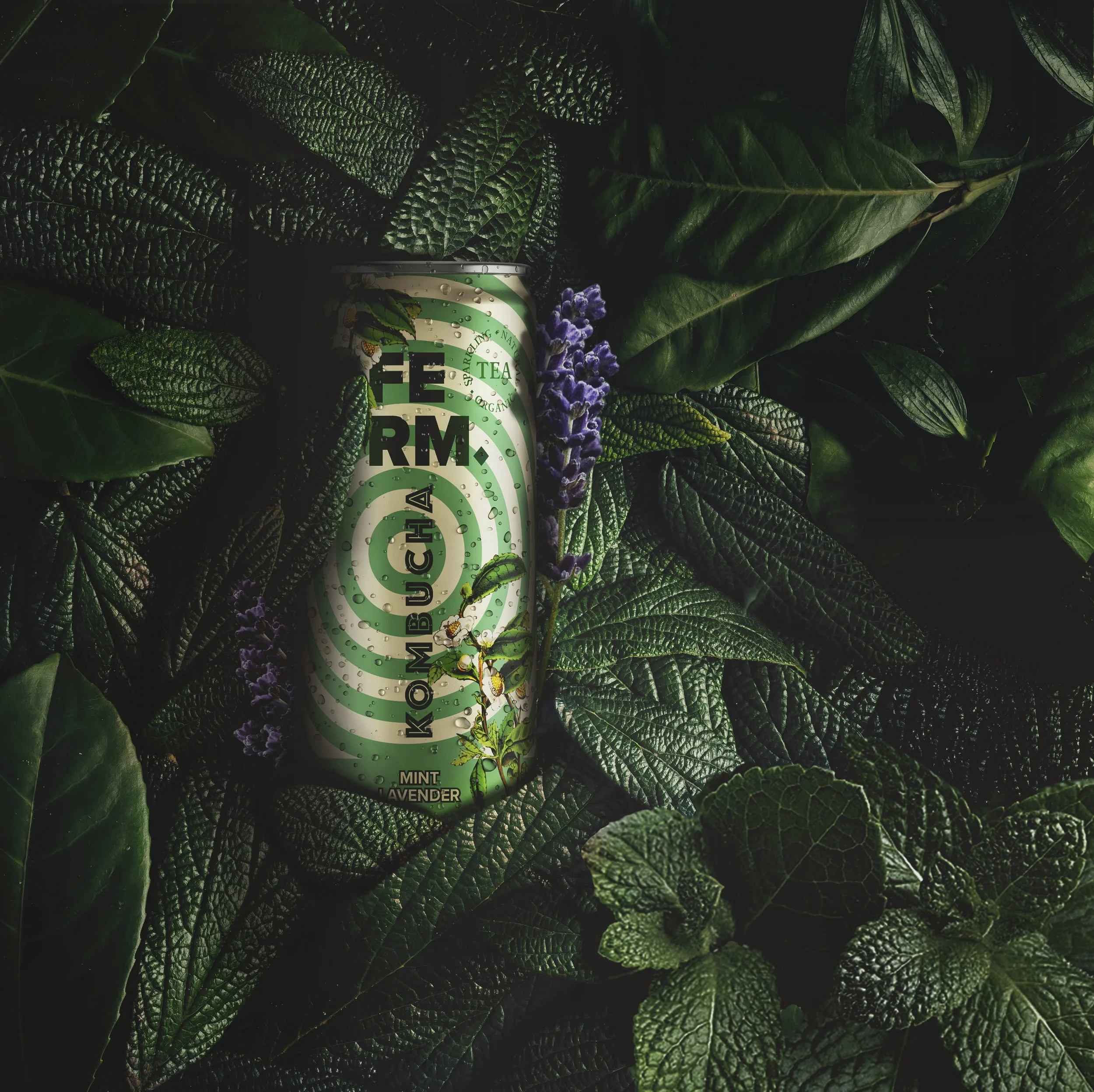 FERM_KOMBUCHA_HIGHRES_v01-GROEN.jpg