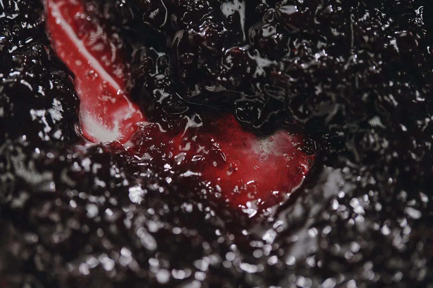 CALLEBAUT_FLAVOURCODE0695.jpg