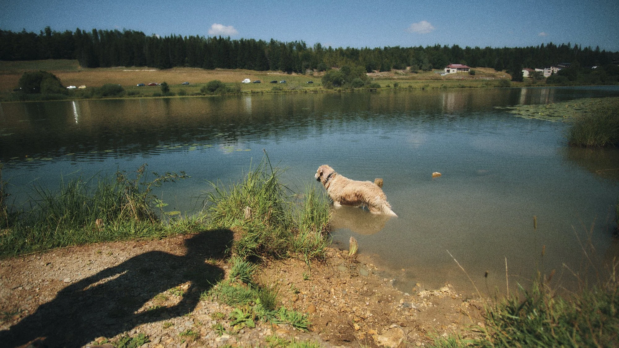 _DSF5064.jpg