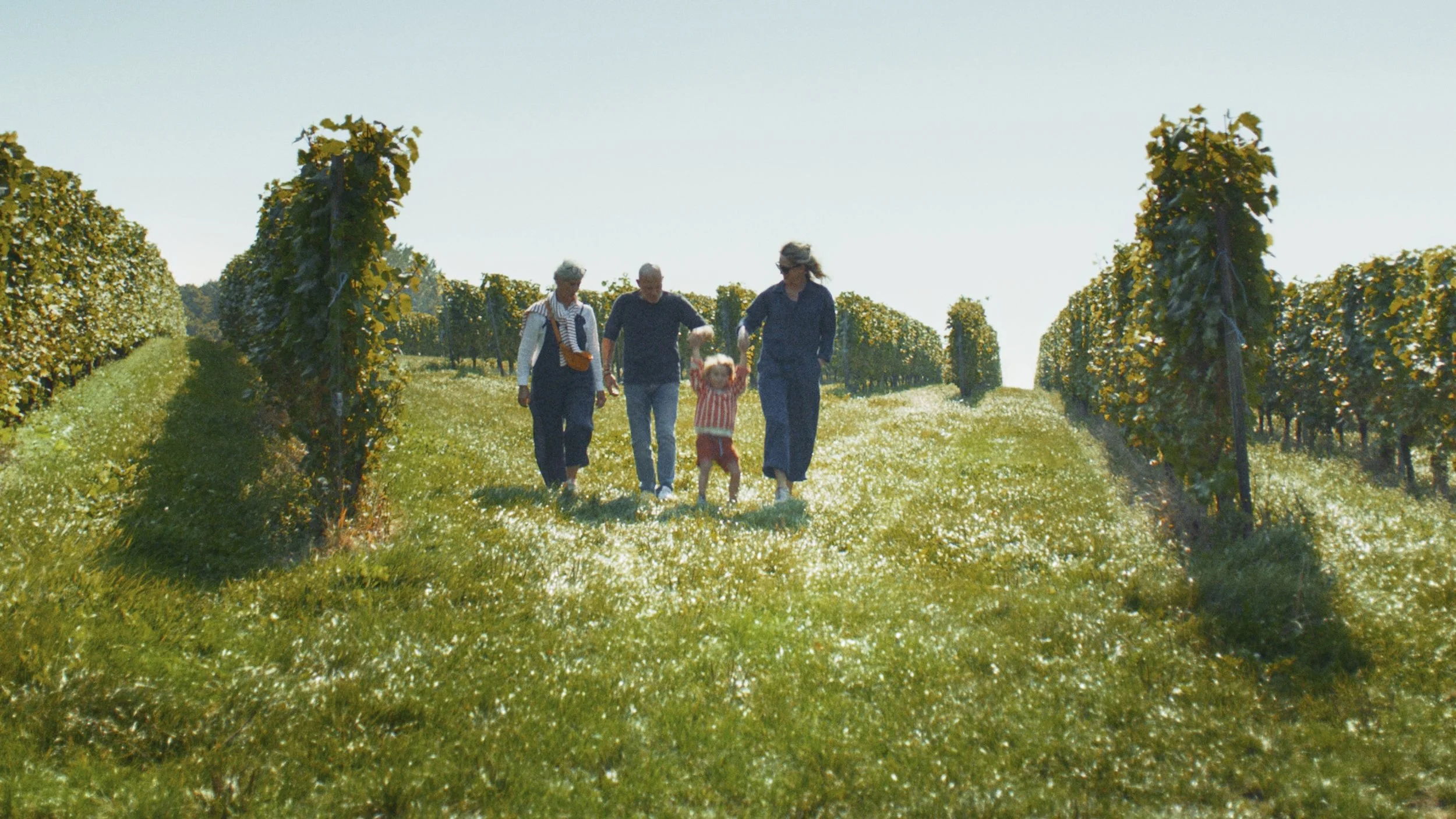 Still 2026-02-24 120856_1.6.1.jpg