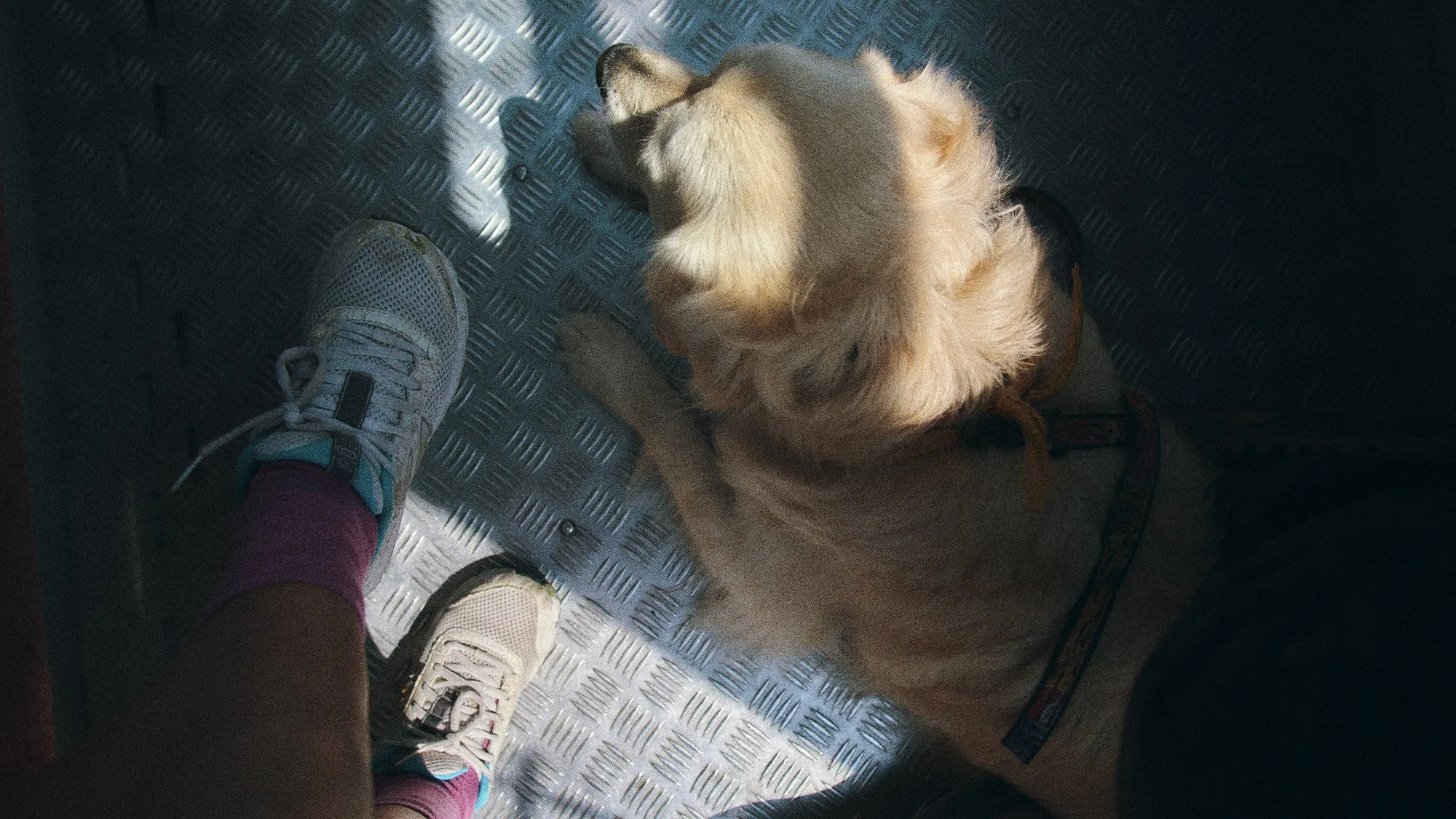 _DSF4877.jpg