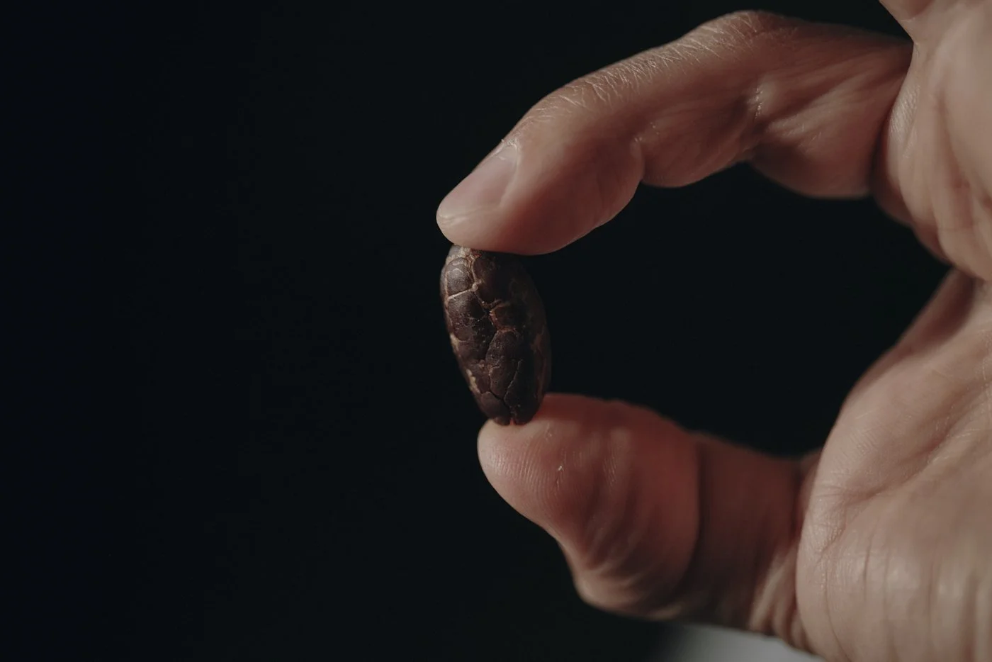 CALLEBAUT_FLAVOURCODE1393 1.jpg