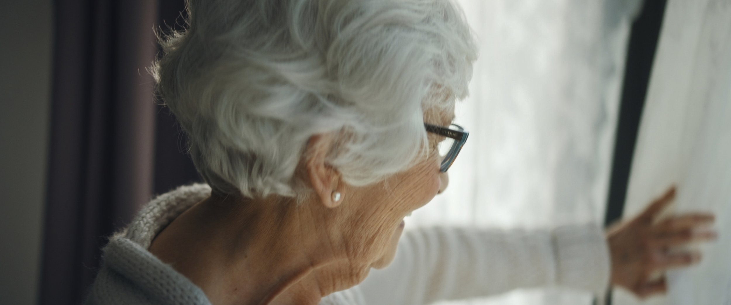 Still 2026-02-25 115245_1.61.1.jpg