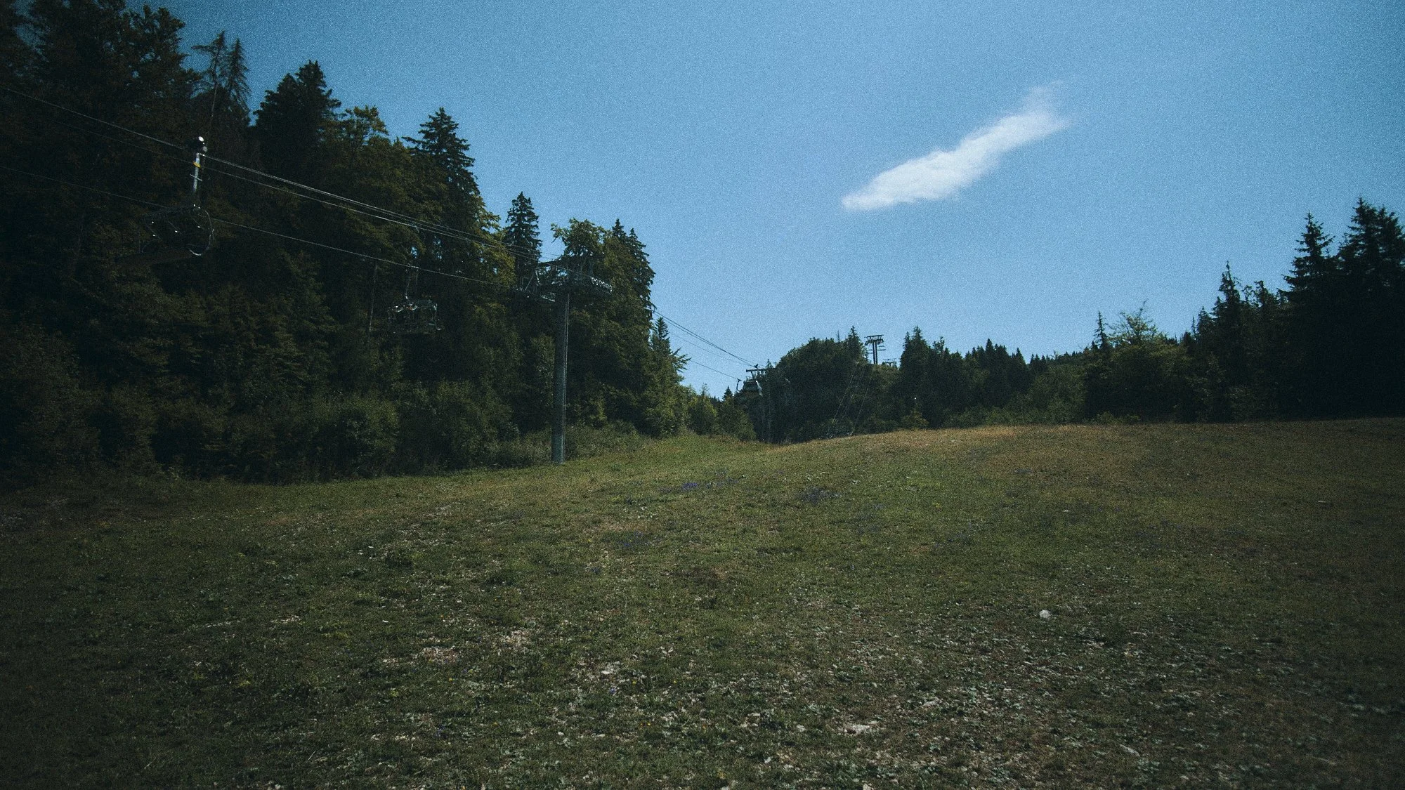 _DSF4859.jpg