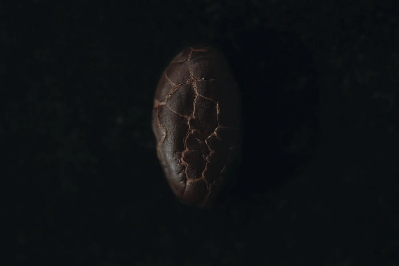 CALLEBAUT_FLAVOURCODE1379 1.jpg