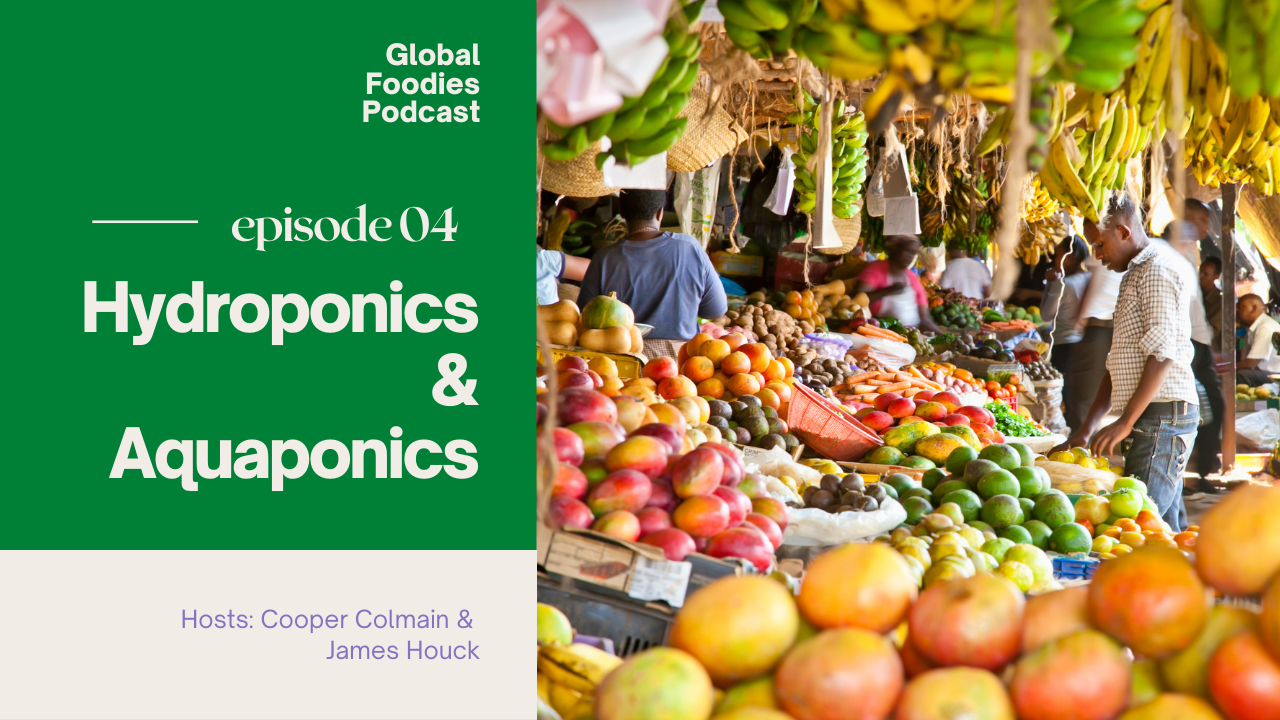 Global Foodies Podcast_ep04.png