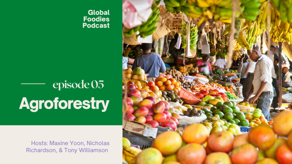 Global Foodies Podcast_ep05_agroforest.png